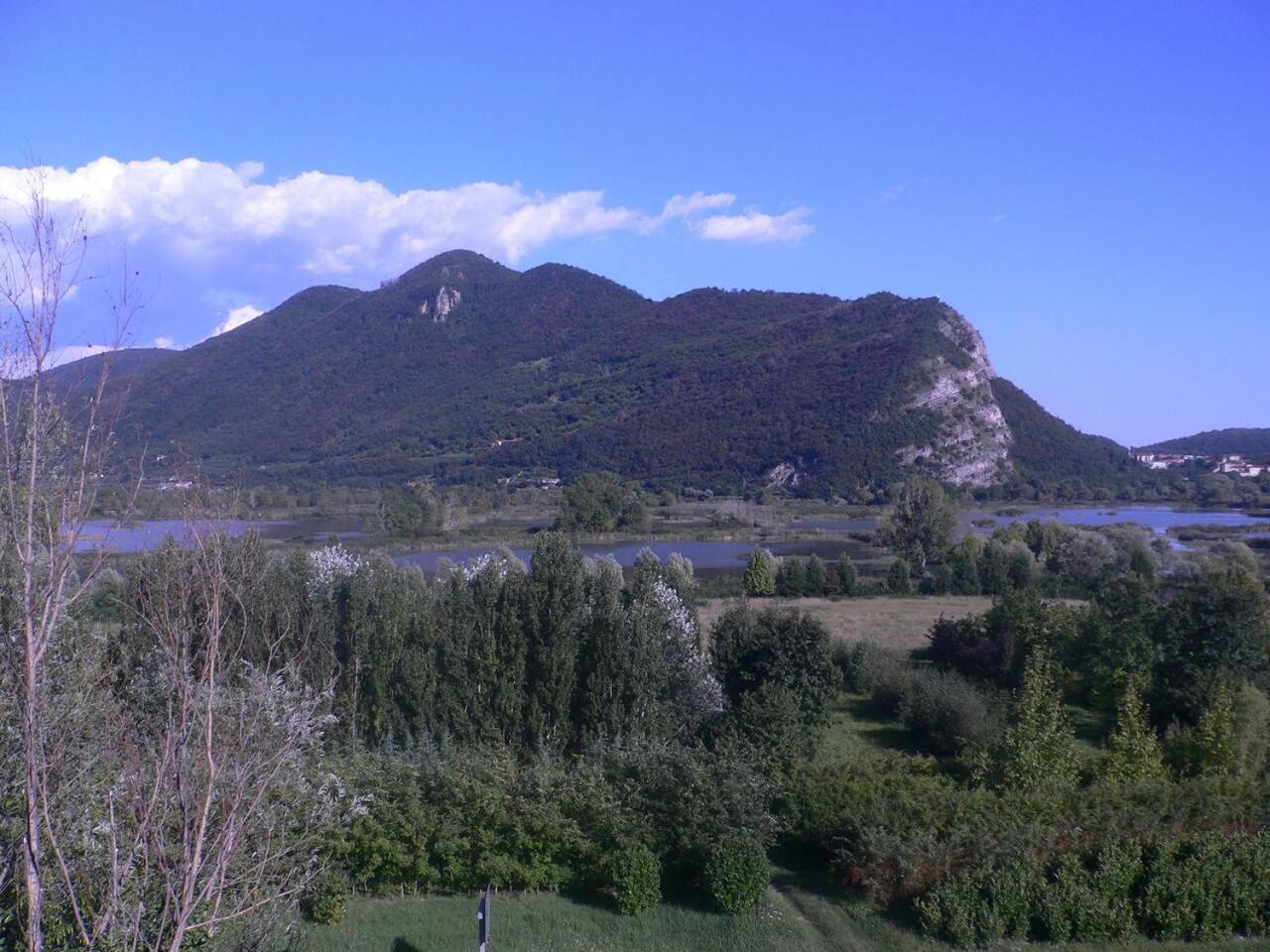 Photo 38