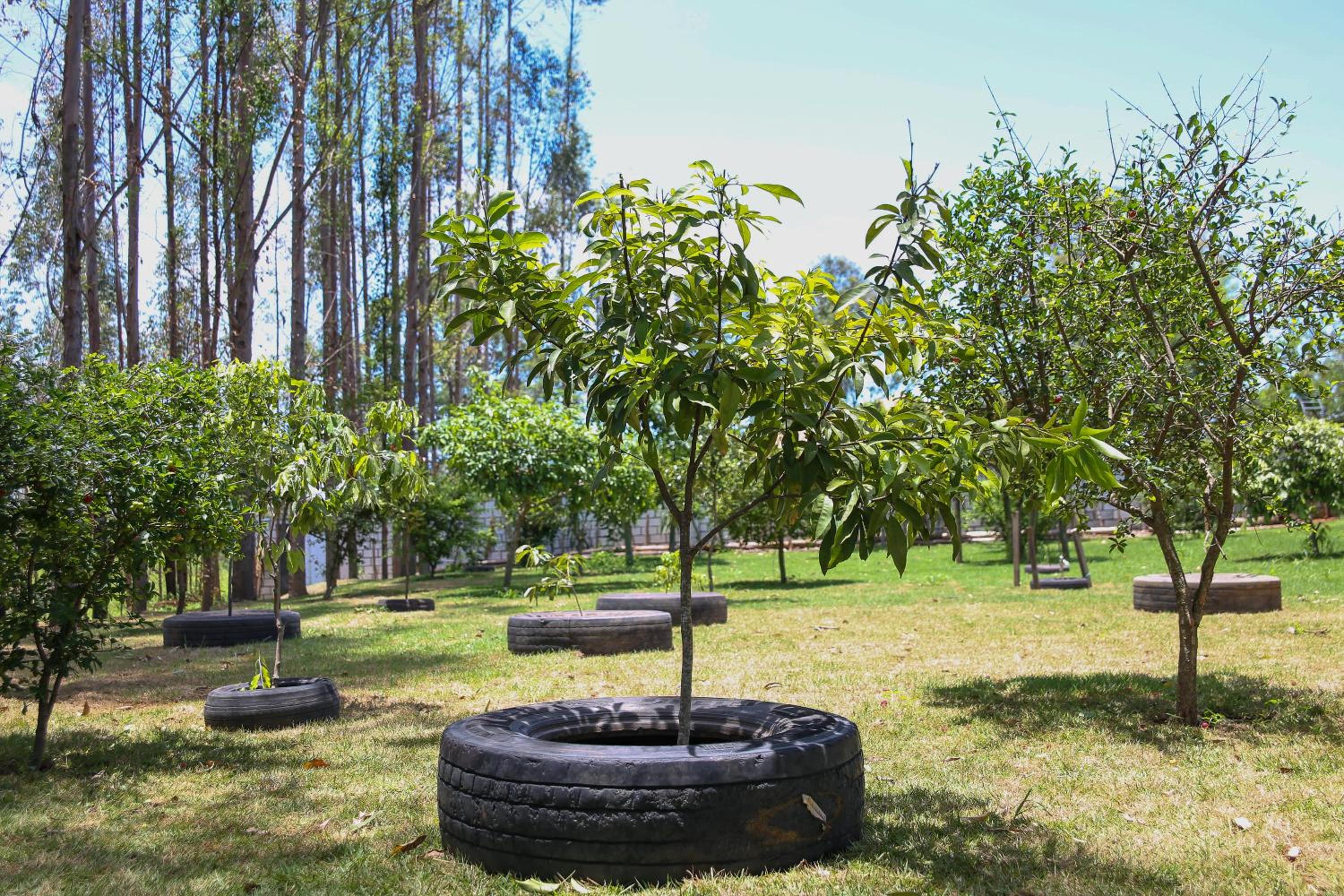 Casa de Campo Magnifica