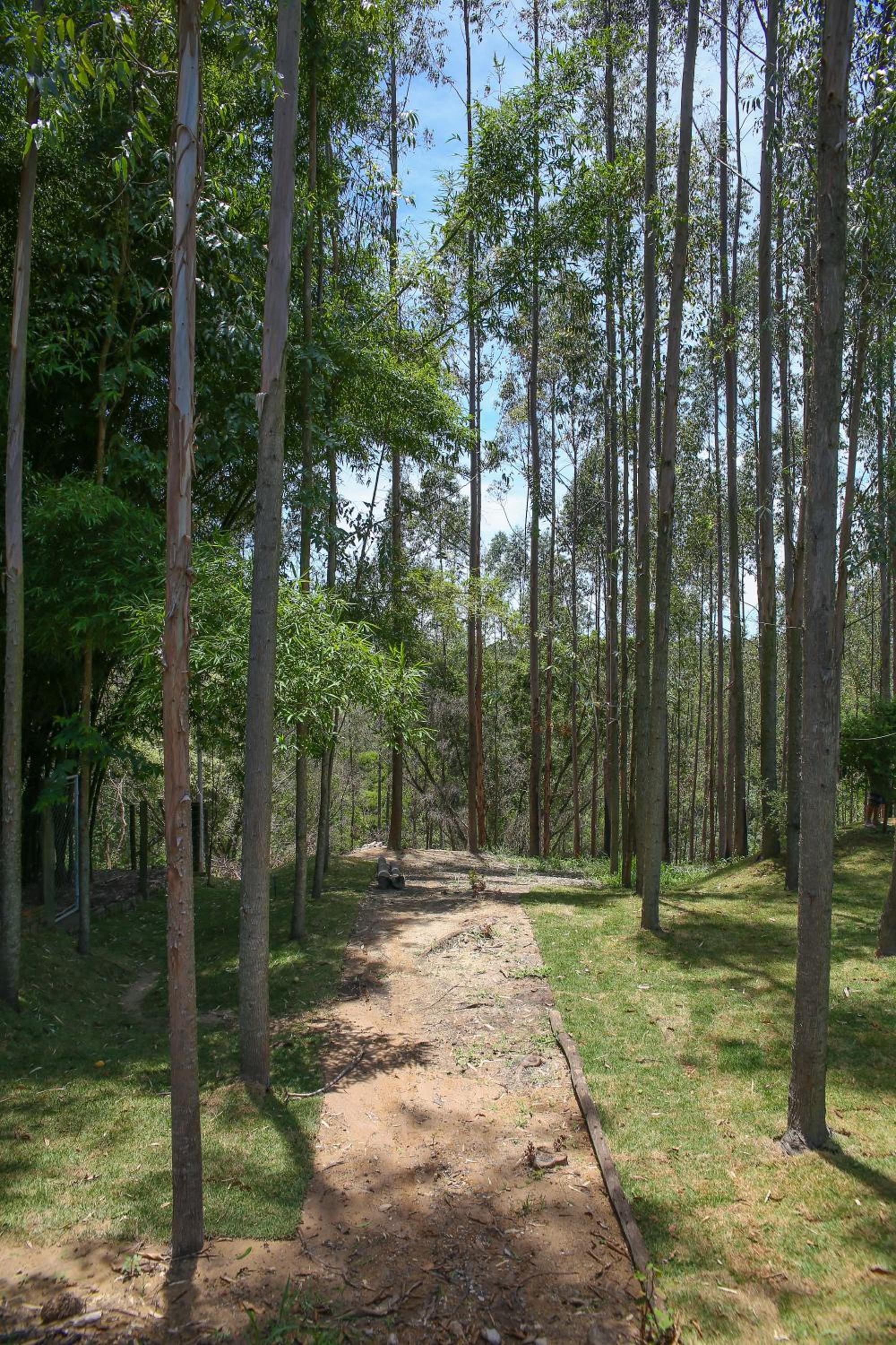 Casa de Campo Magnifica