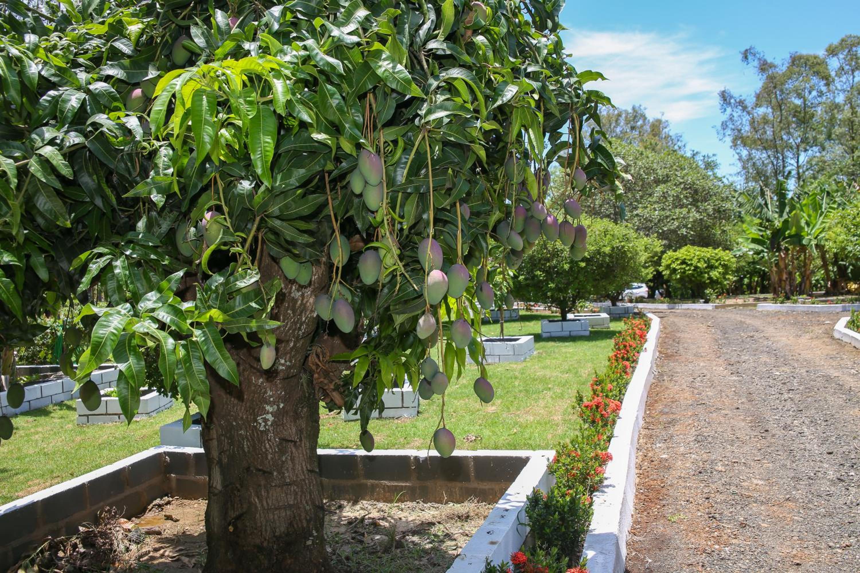 Casa de Campo Magnifica