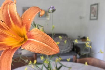 Photo 38