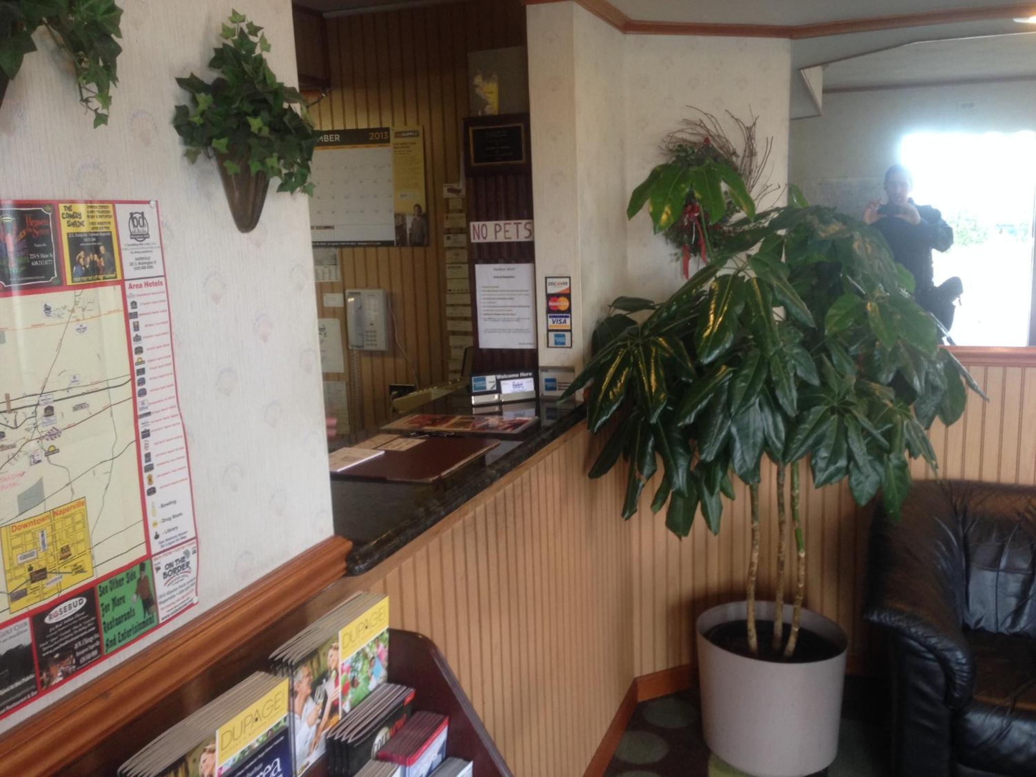 recepcion & lobby