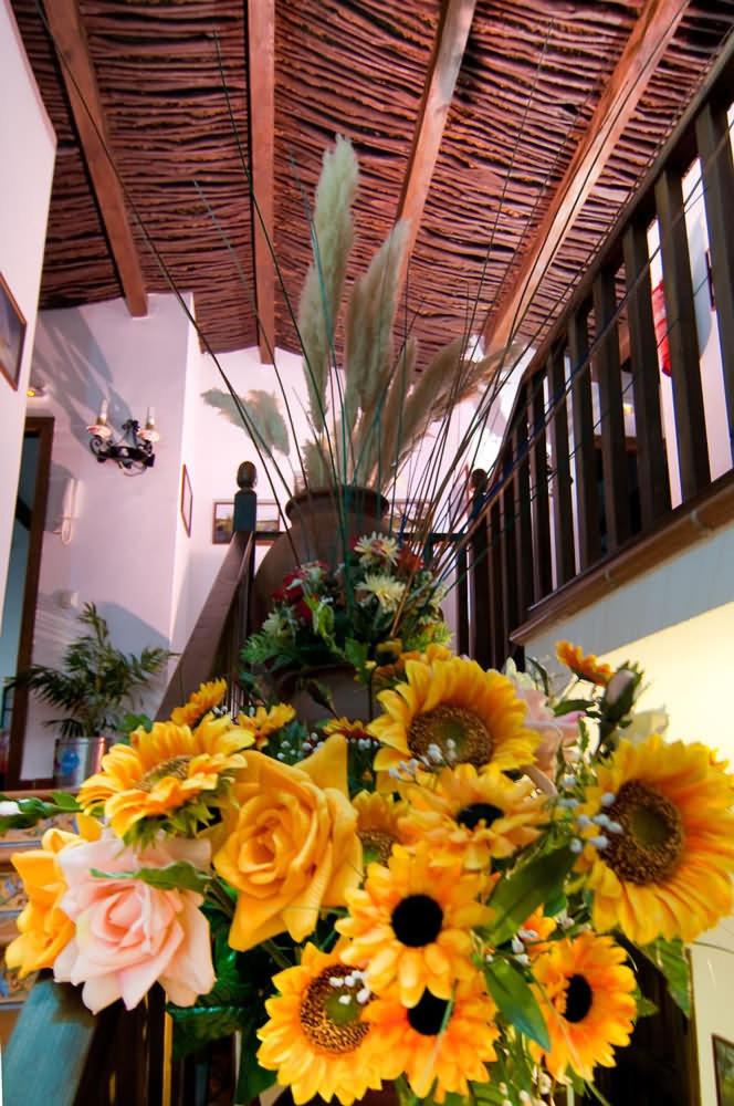 Los Gañanes view 3