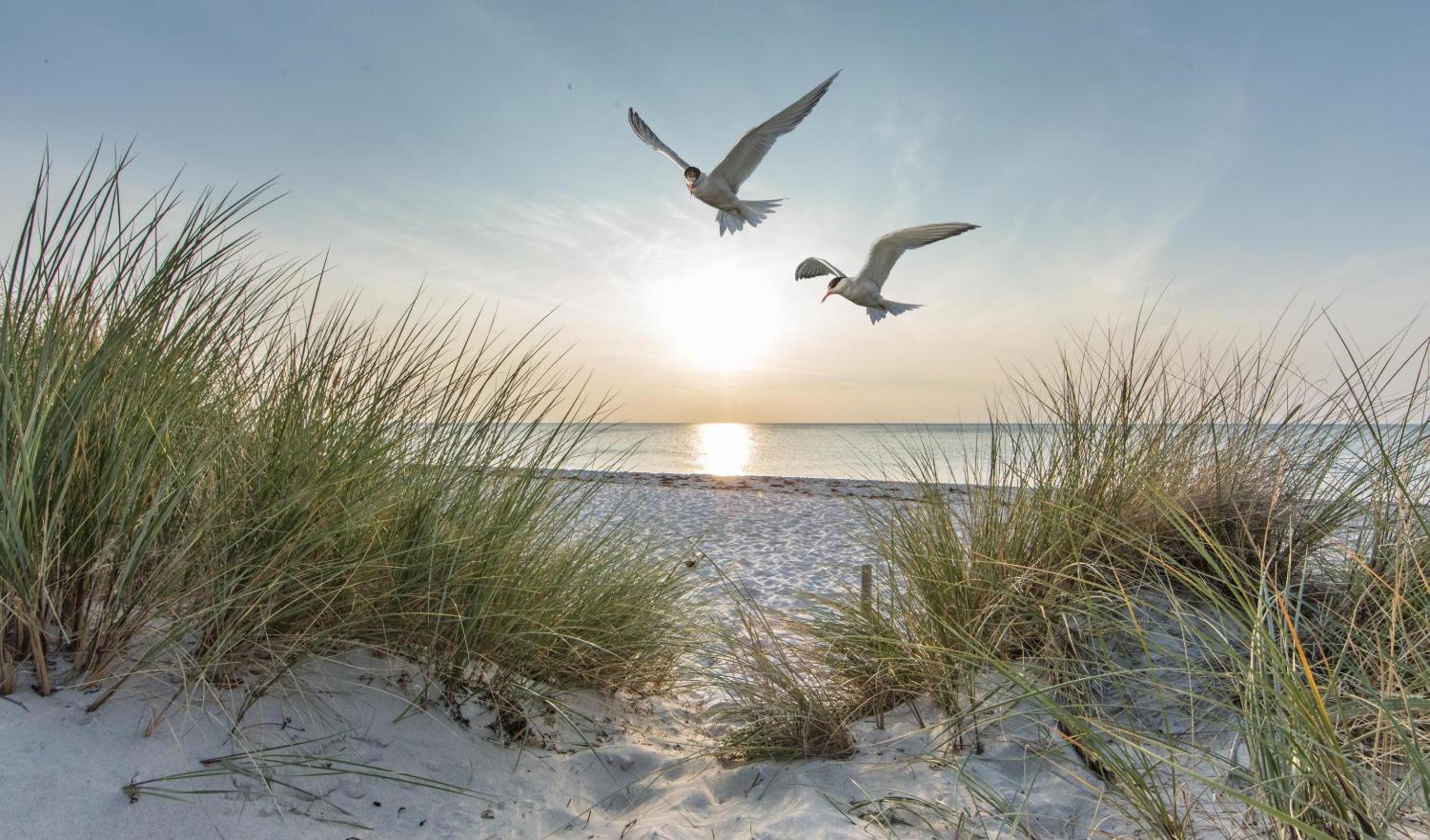 Quartier Usedom