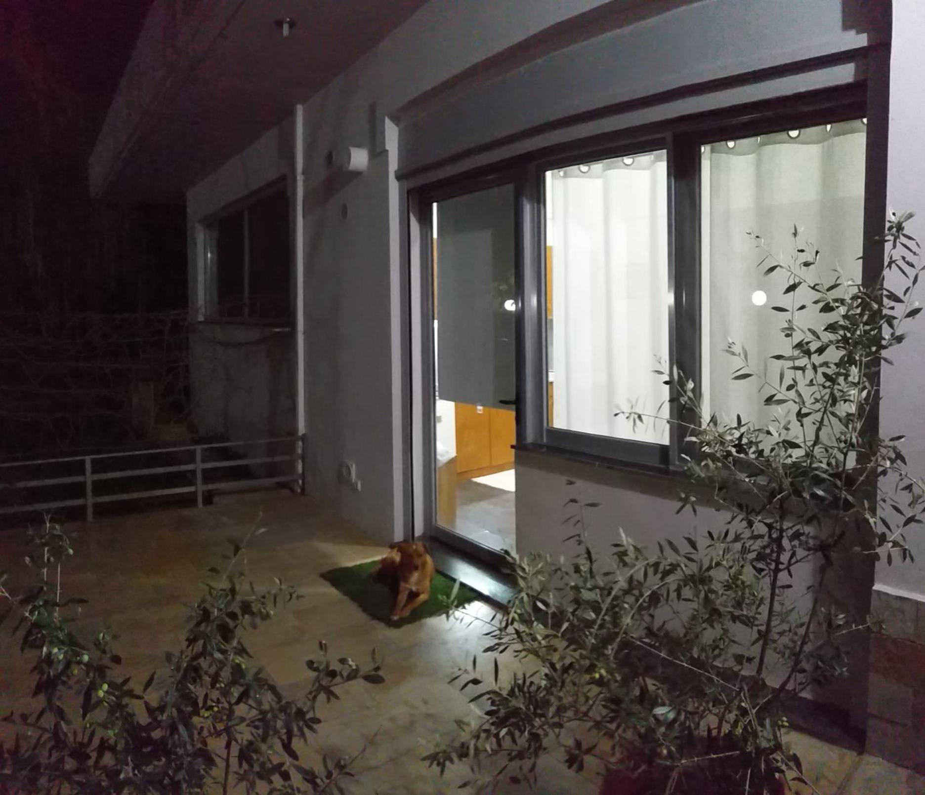 Photo 31