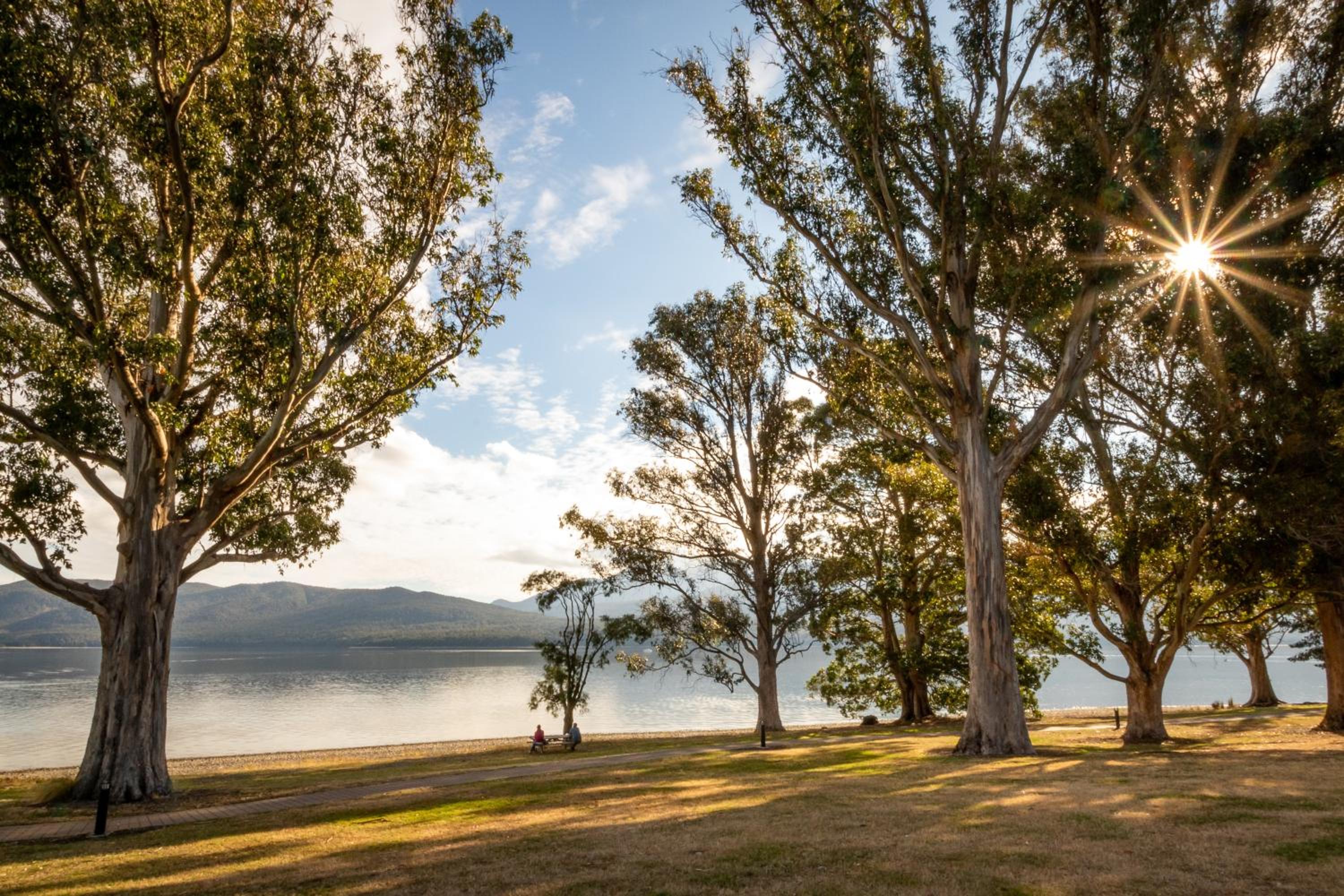 Hotel Hop, Skip and Jump to the Lake - Te Anau House - Image 1