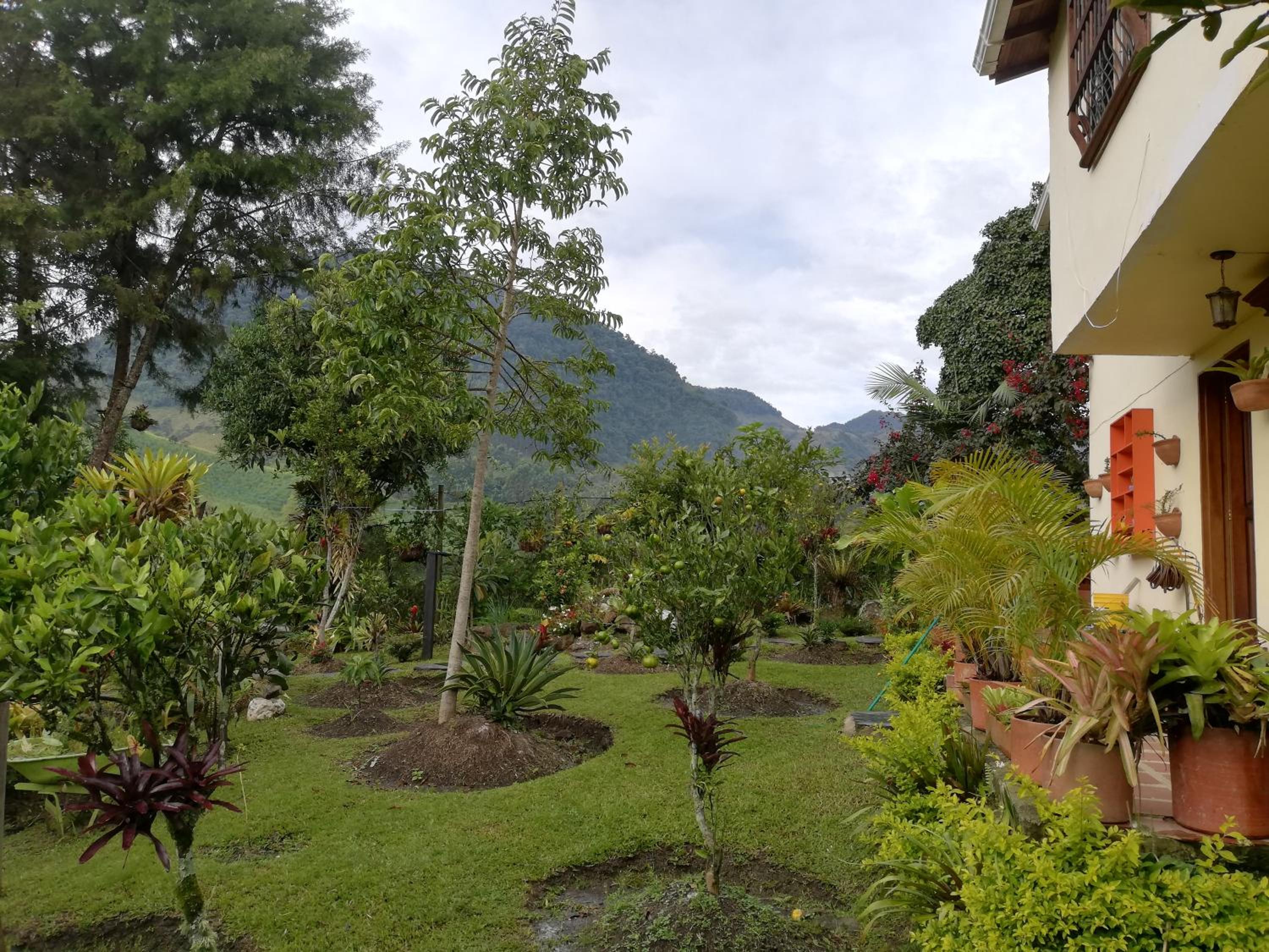 Mi Jardin Encantado