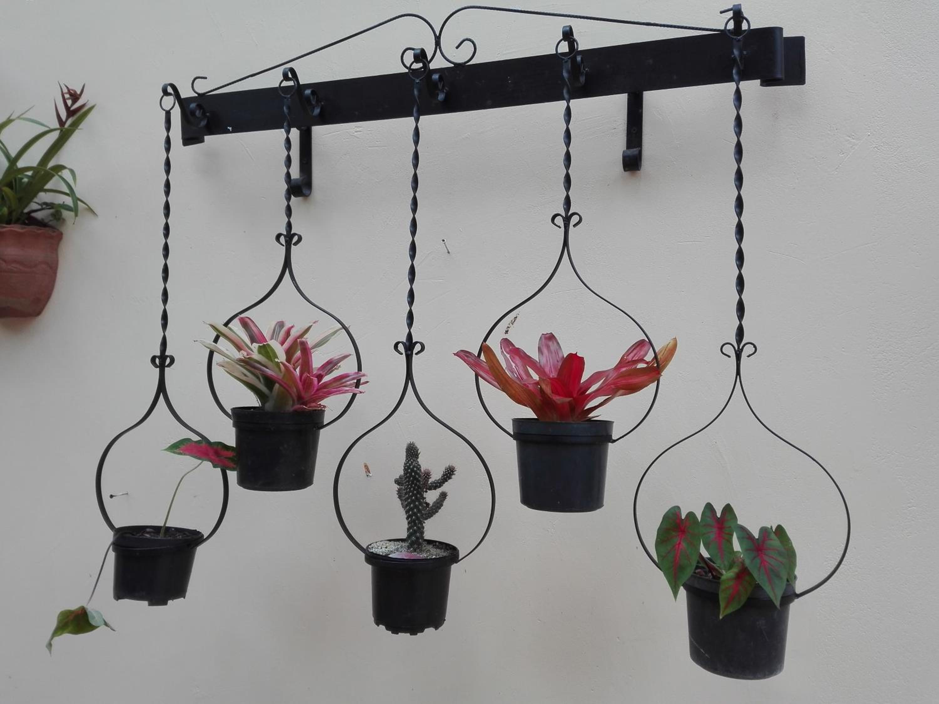 Mi Jardin Encantado