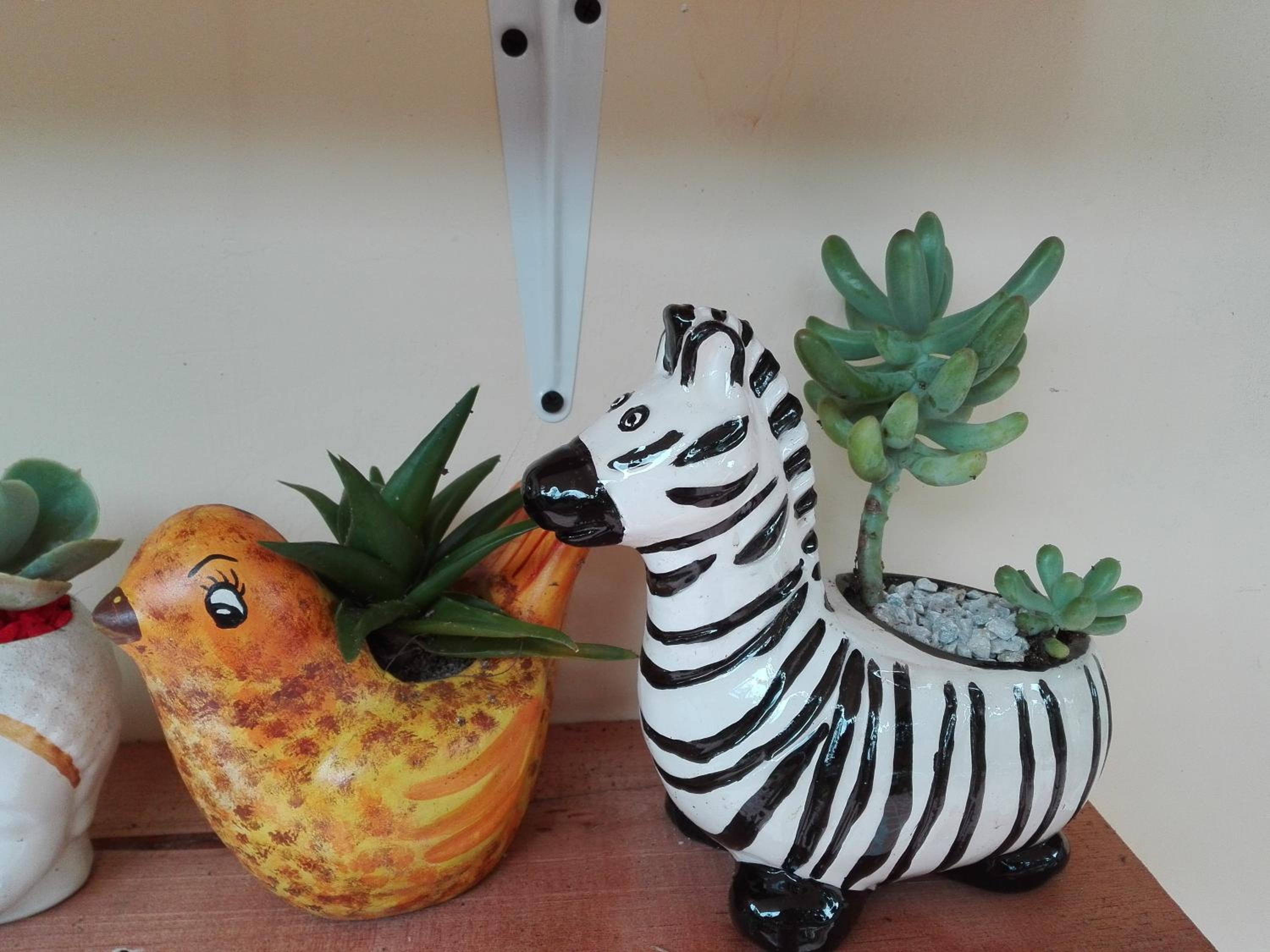 Mi Jardin Encantado