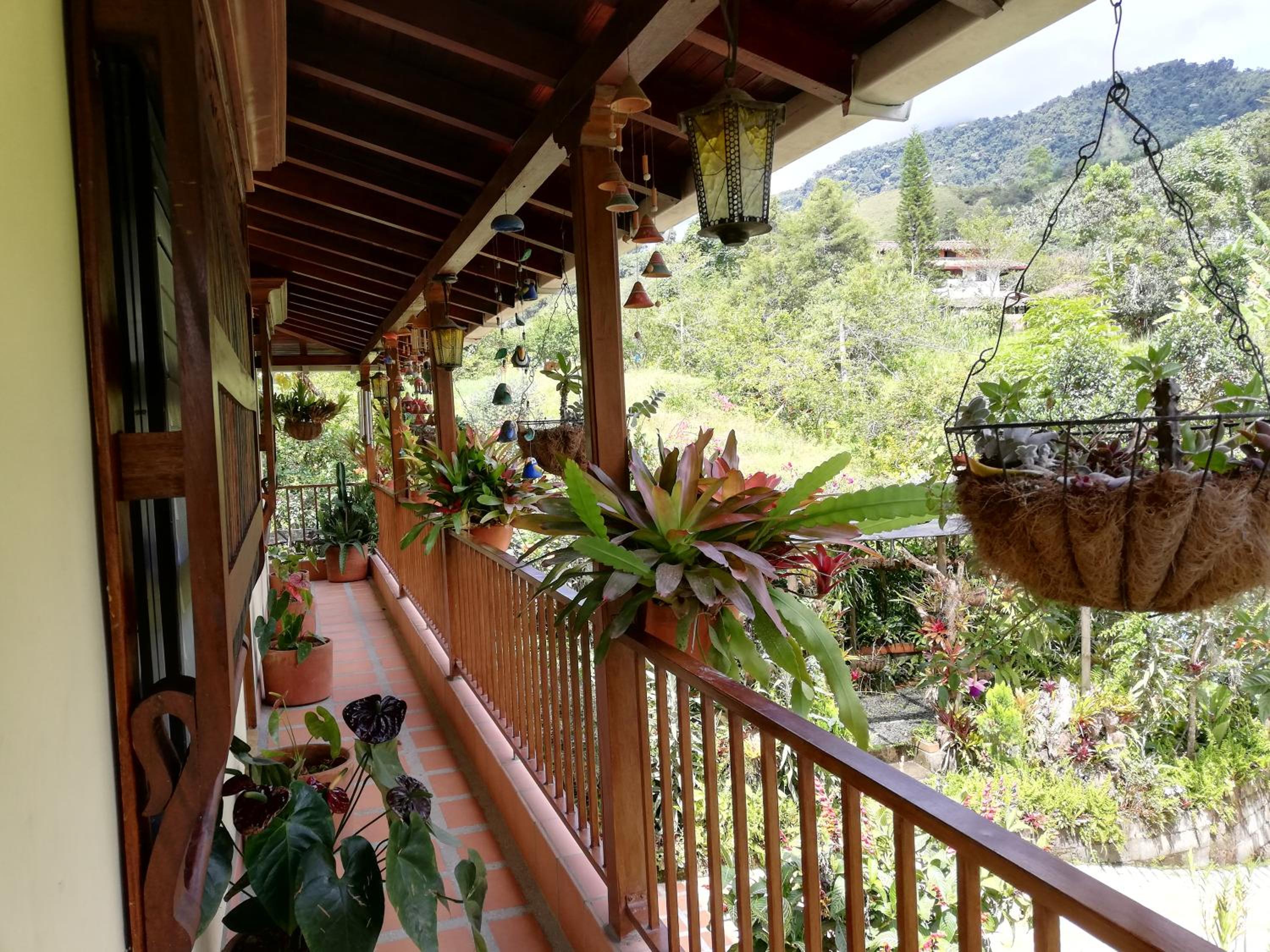 Mi Jardin Encantado
