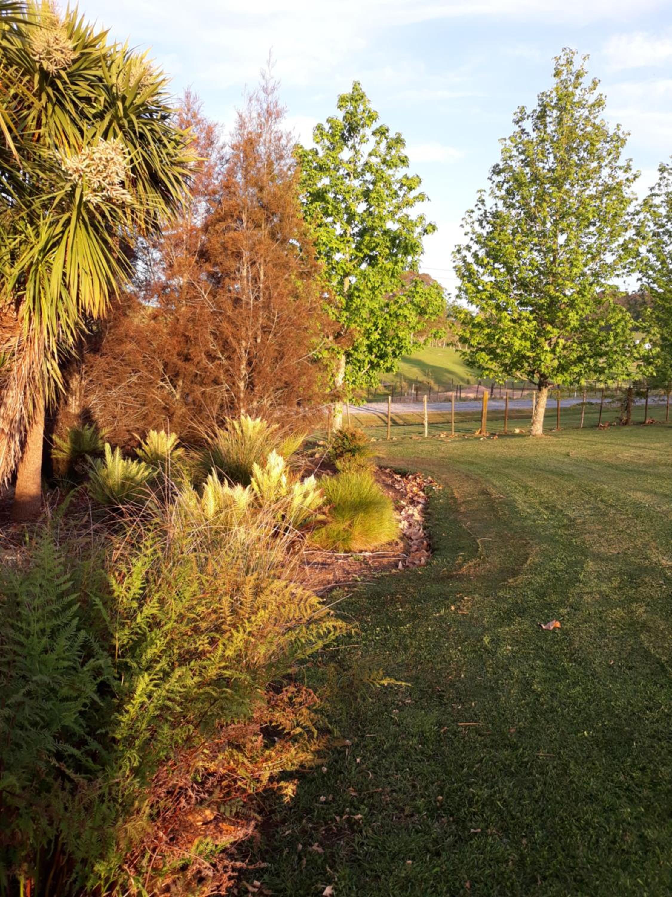 Photo 11