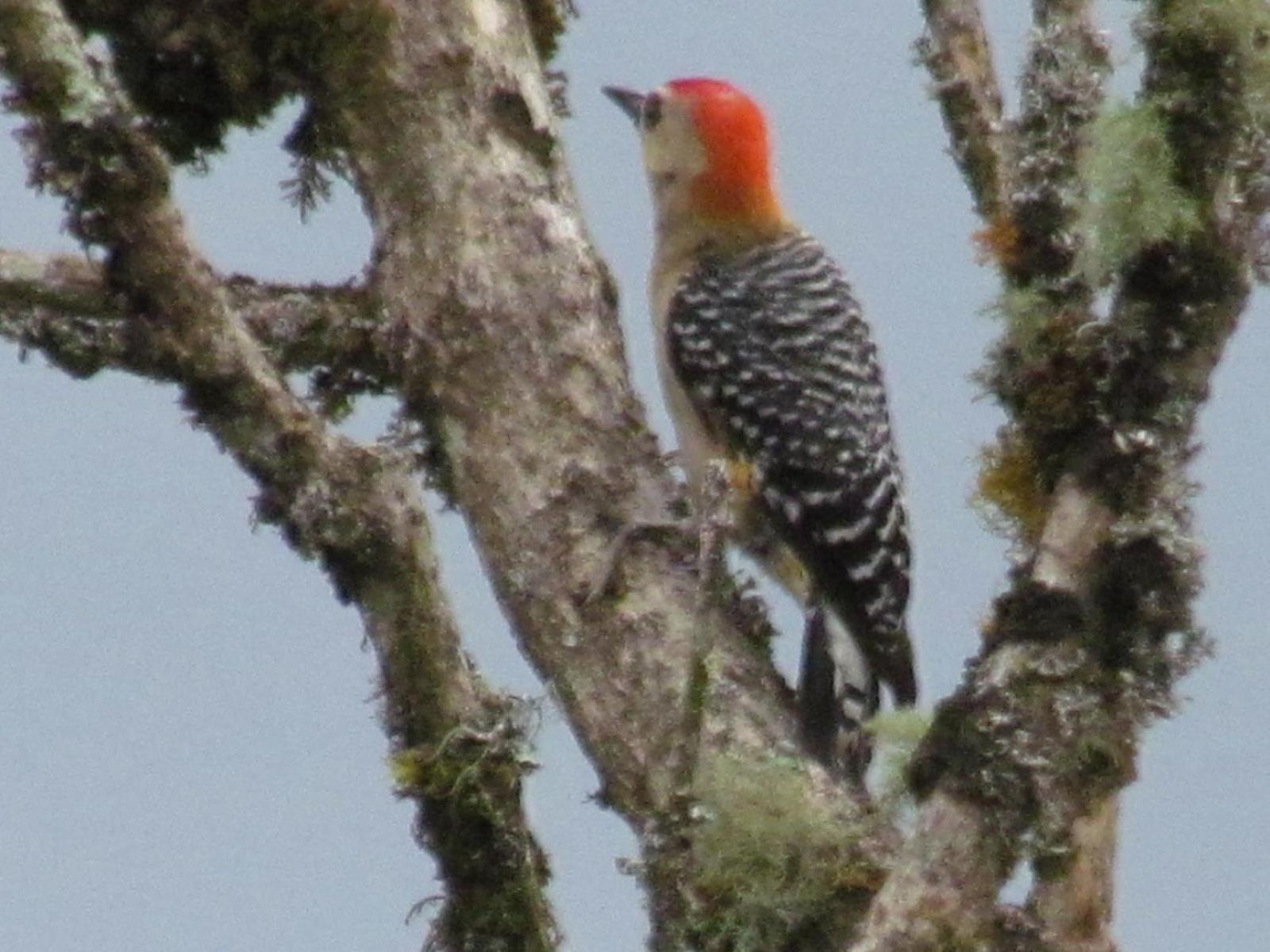 Mi Jardin Encantado