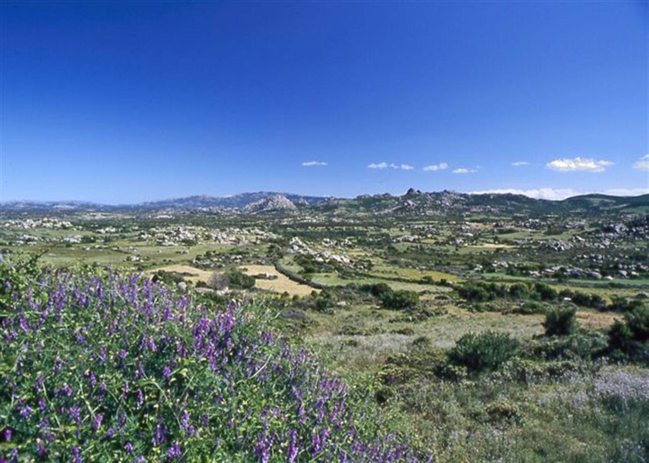 La Vignaredda - Residenza di Charme