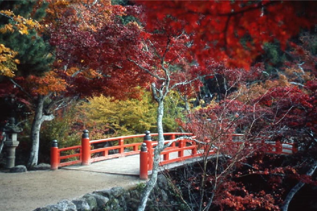 Photo 40