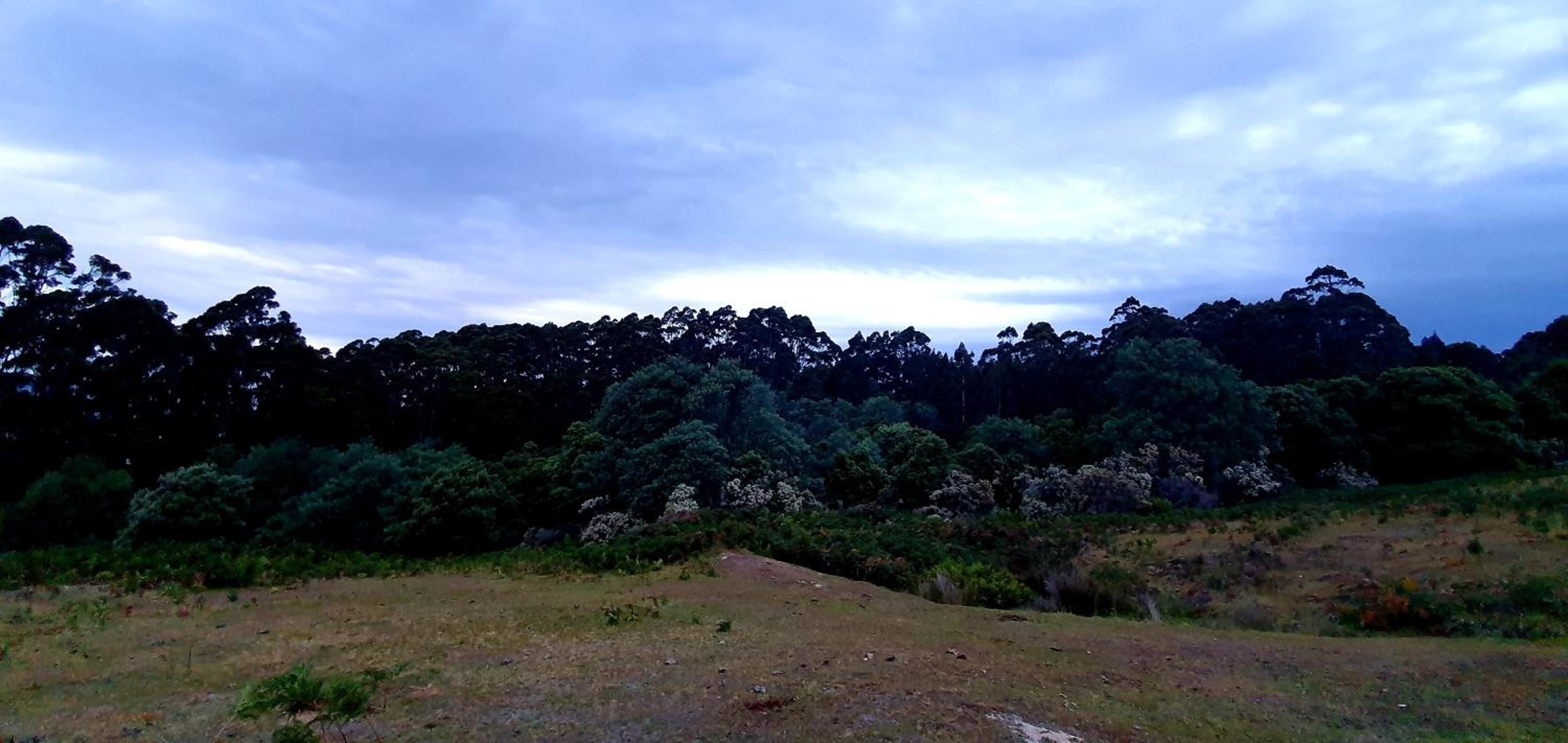 Ruby's Cottage Farm Stay