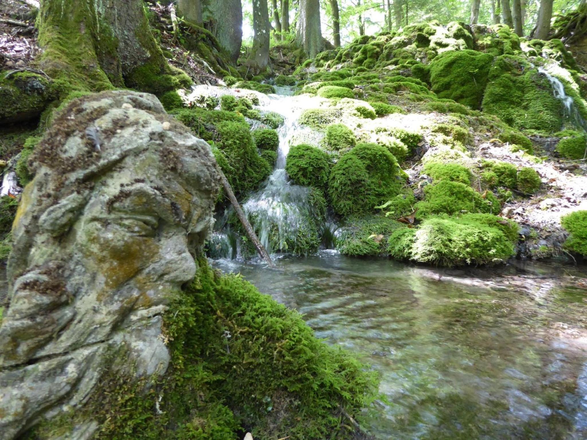 Müller's Ferienwohnungen