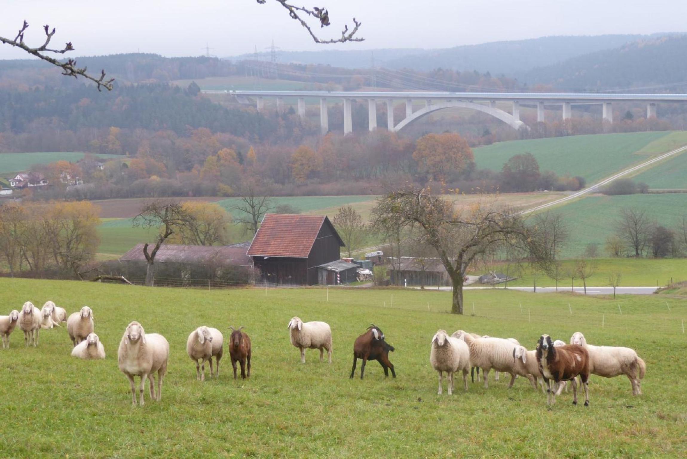 Müller's Ferienwohnungen
