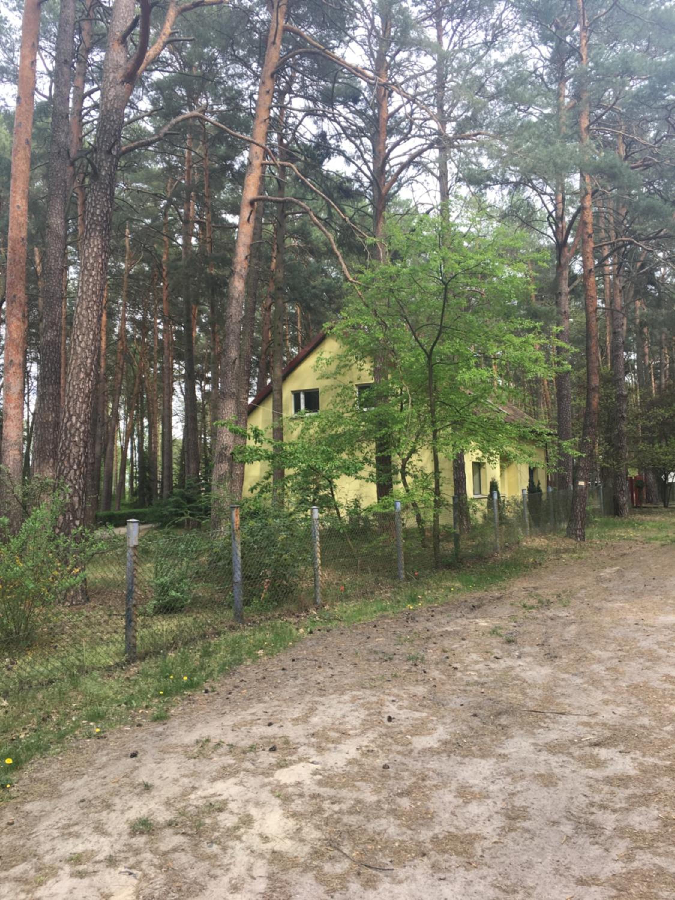 Photo 17