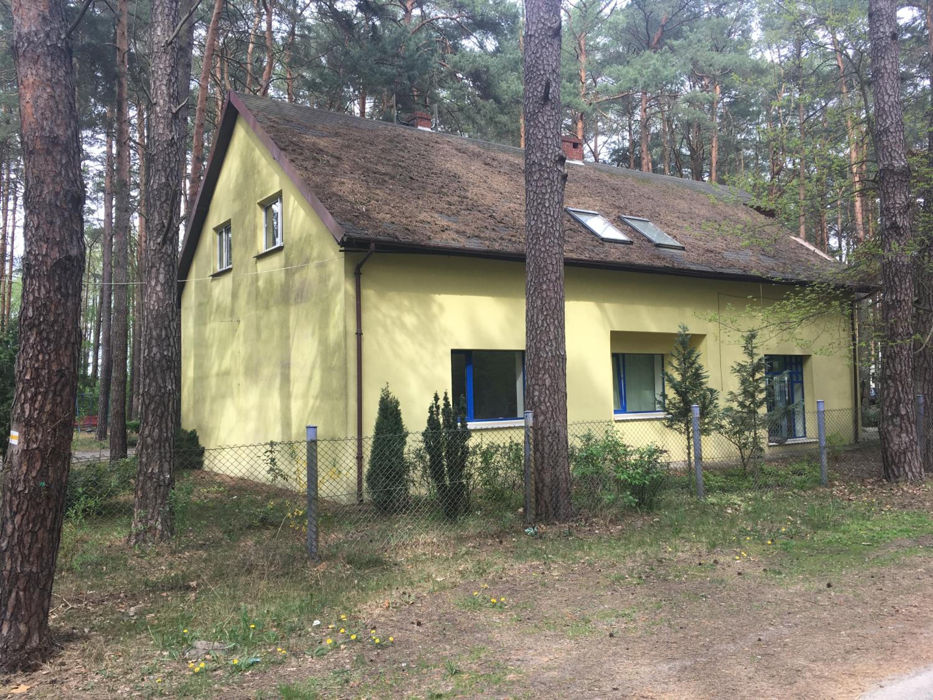 Photo 19