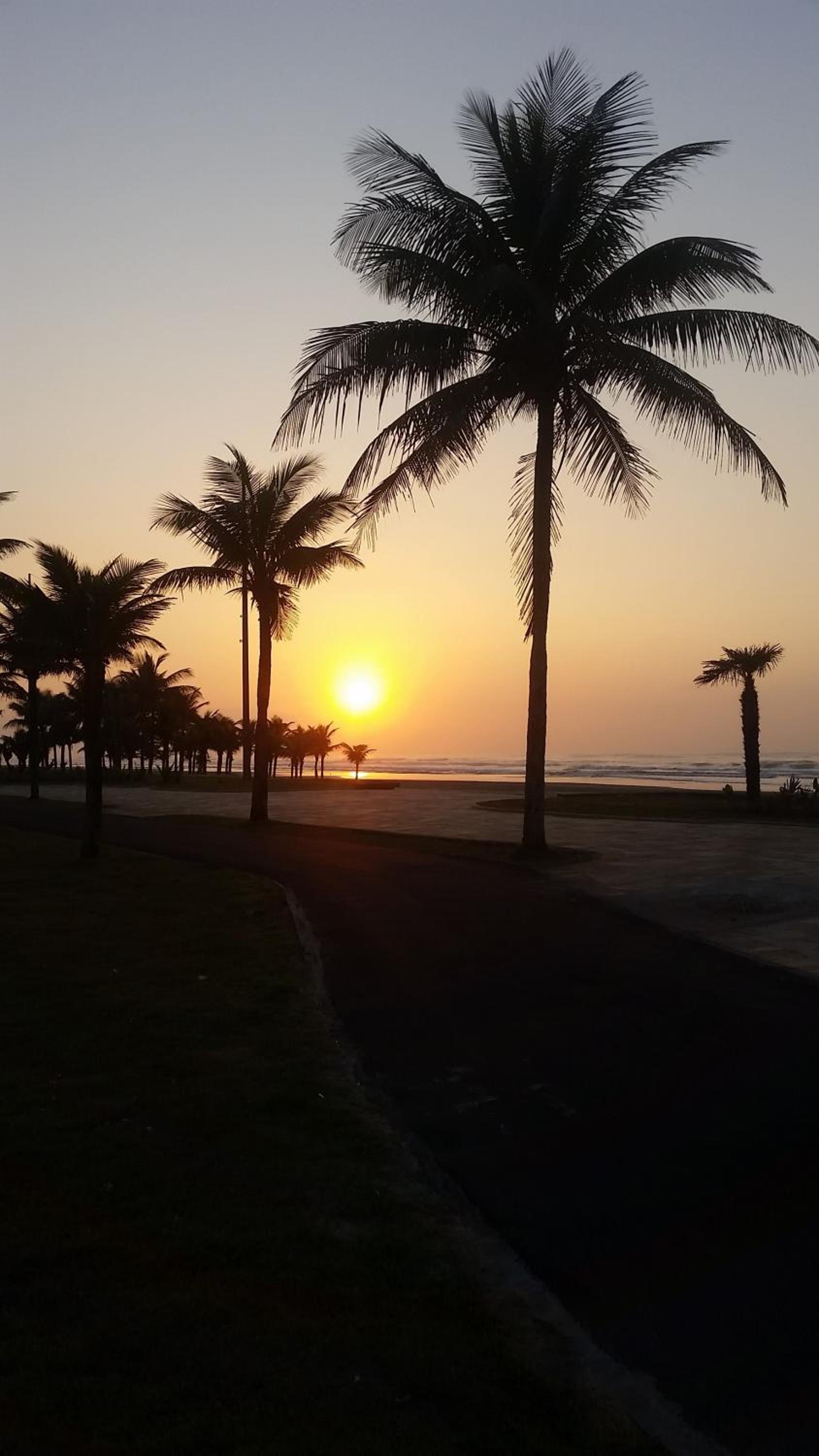 Apto Mar Praia Grande