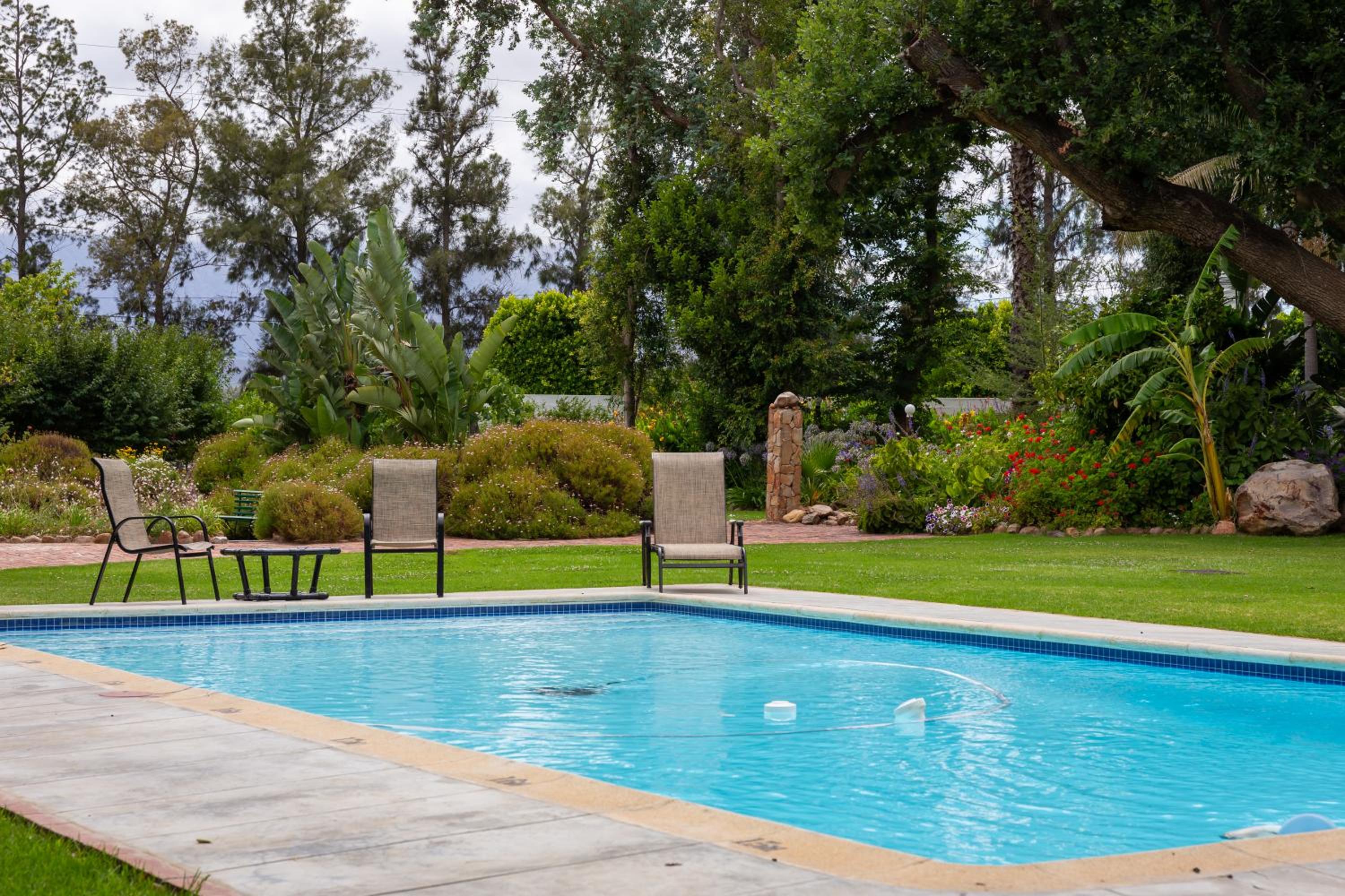 Green Olive Guesthouse