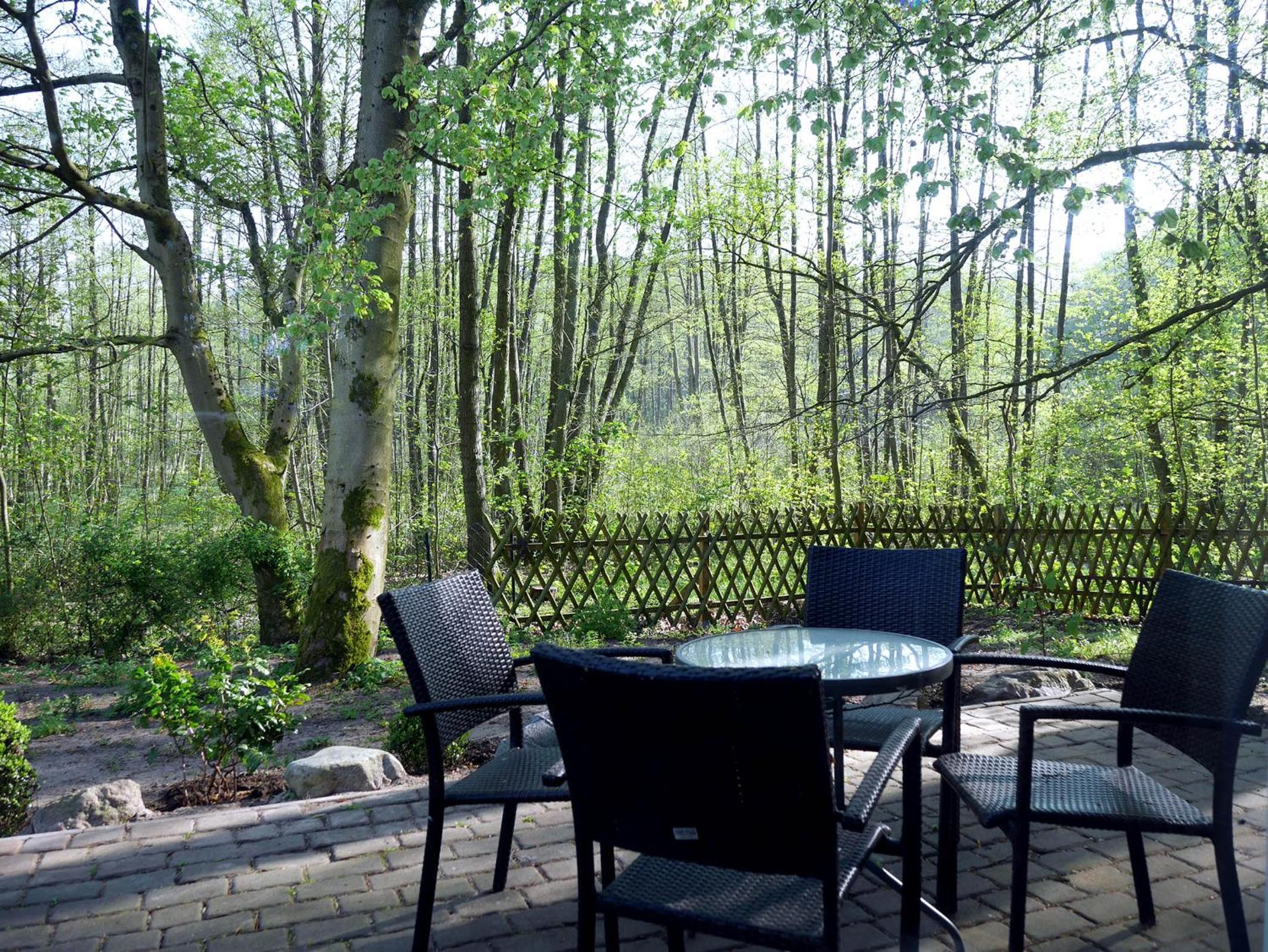 Waldschenke Stendenitz Ubernachten im Wald am See - Property Image 42