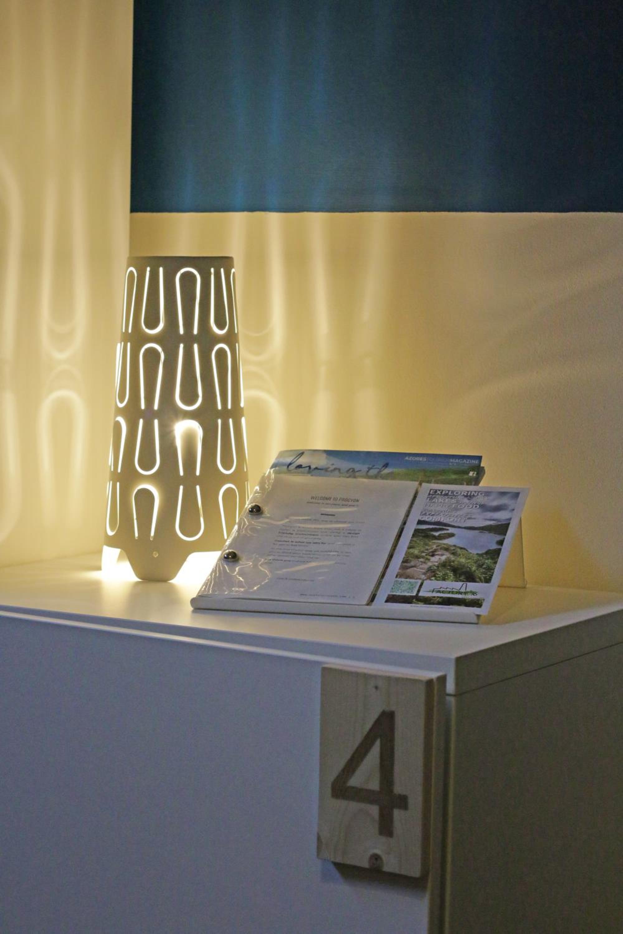 Procyon Boutique & Suites