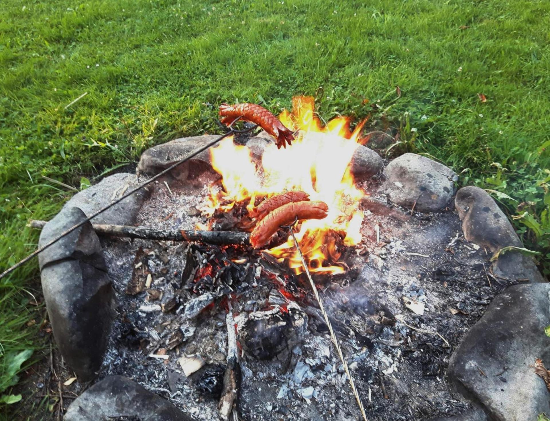 Photo 42