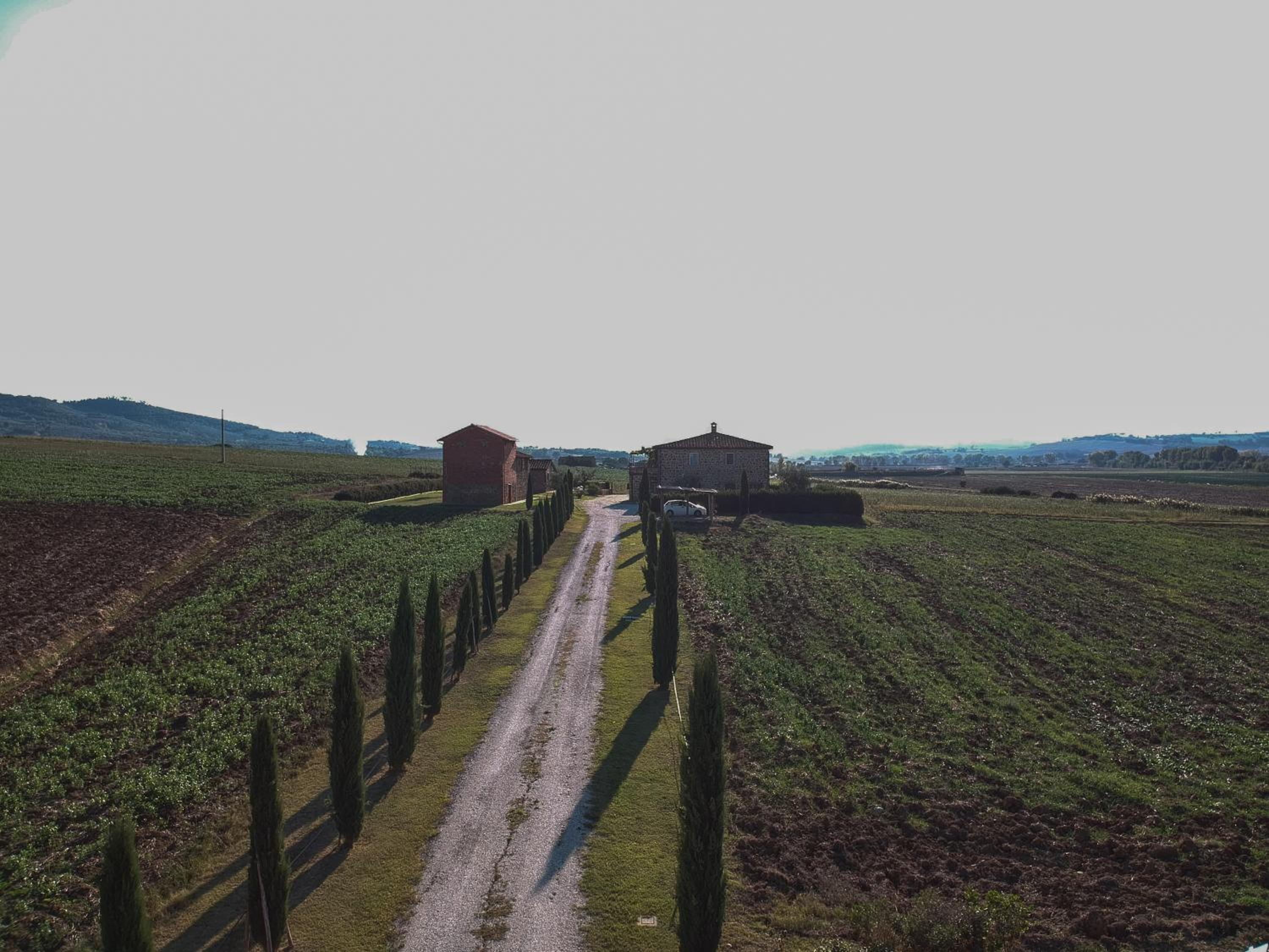 Photo 40