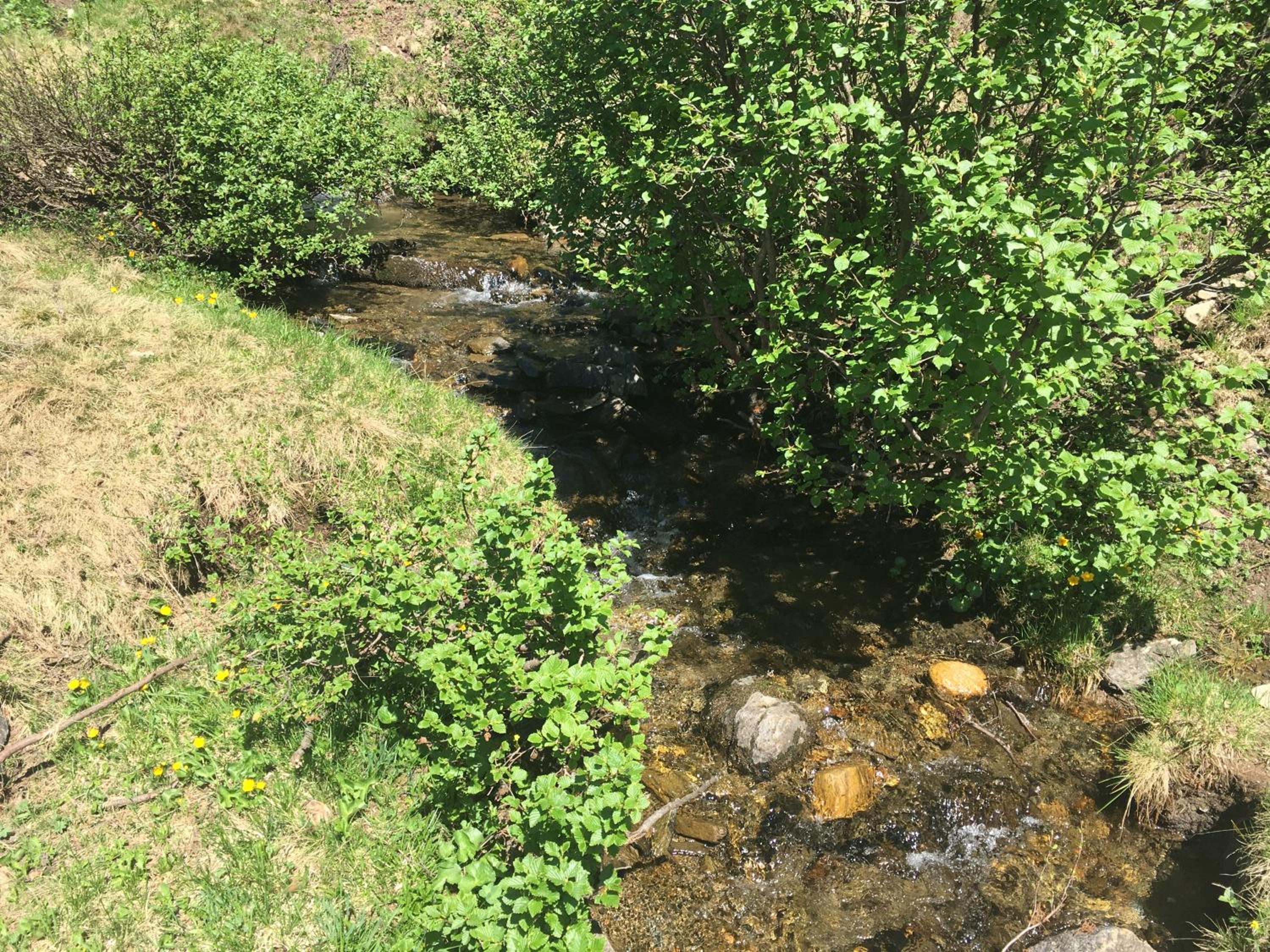 Photo 12