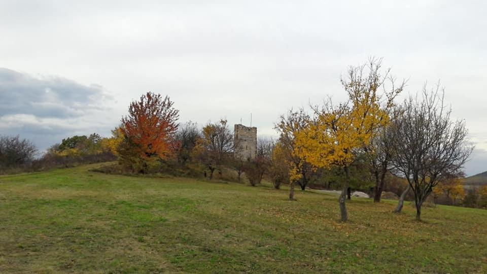Photo 38