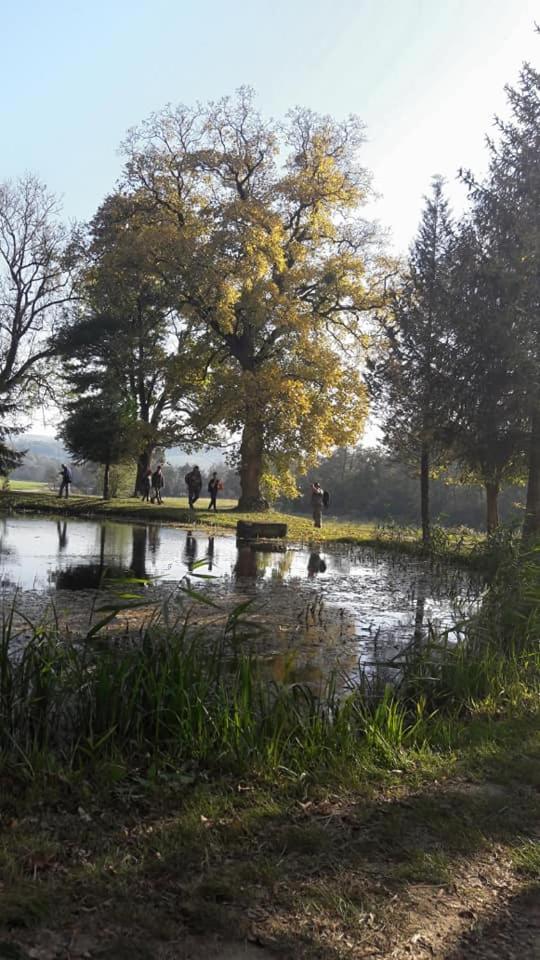 Photo 41