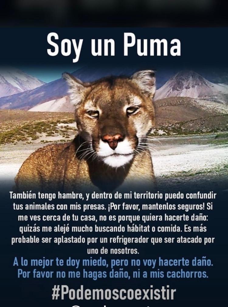 Cabaña LA EMILIA Uspallata Mdz