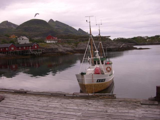 Photo 24