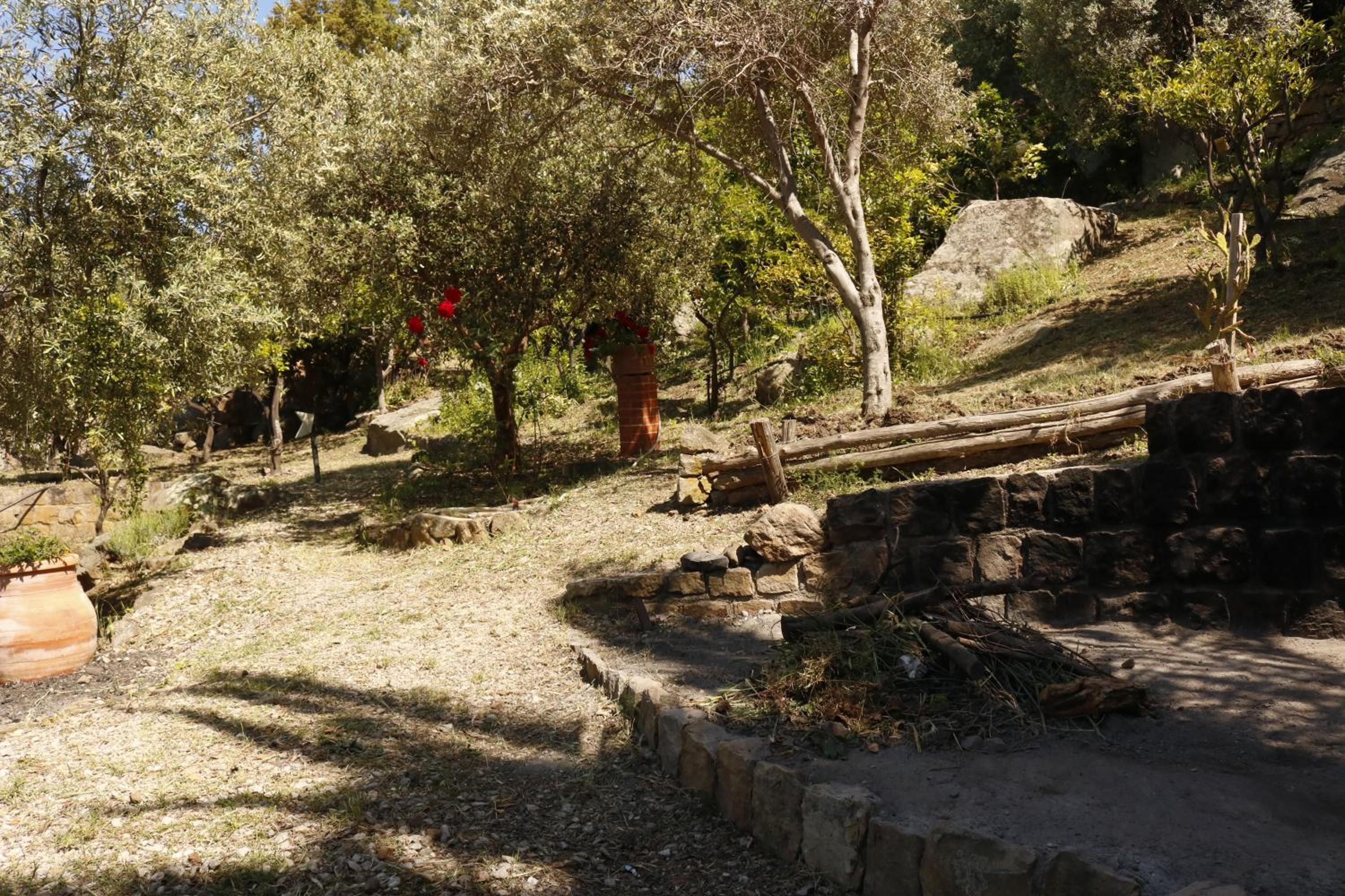 Photo 43