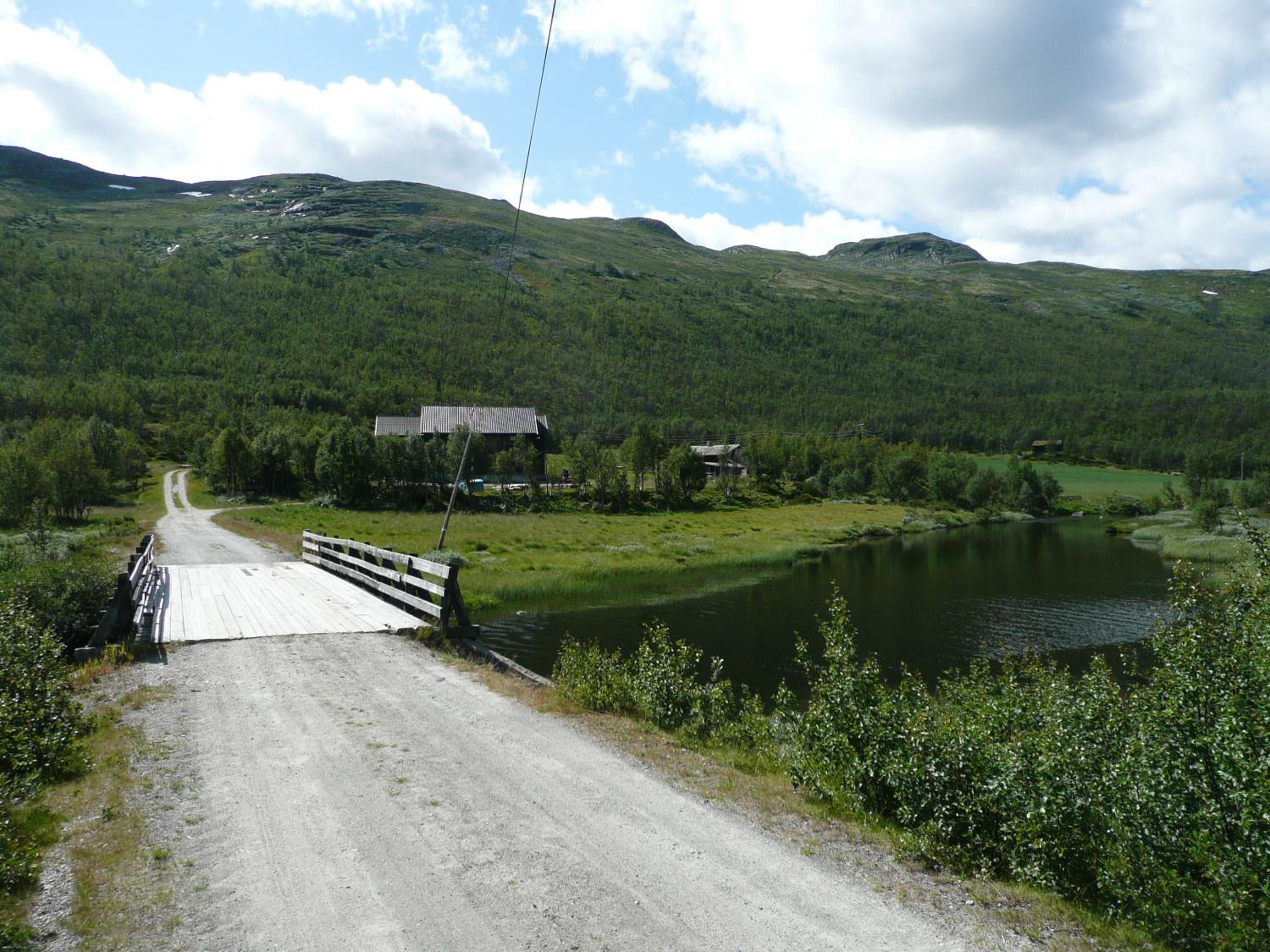 Photo 10