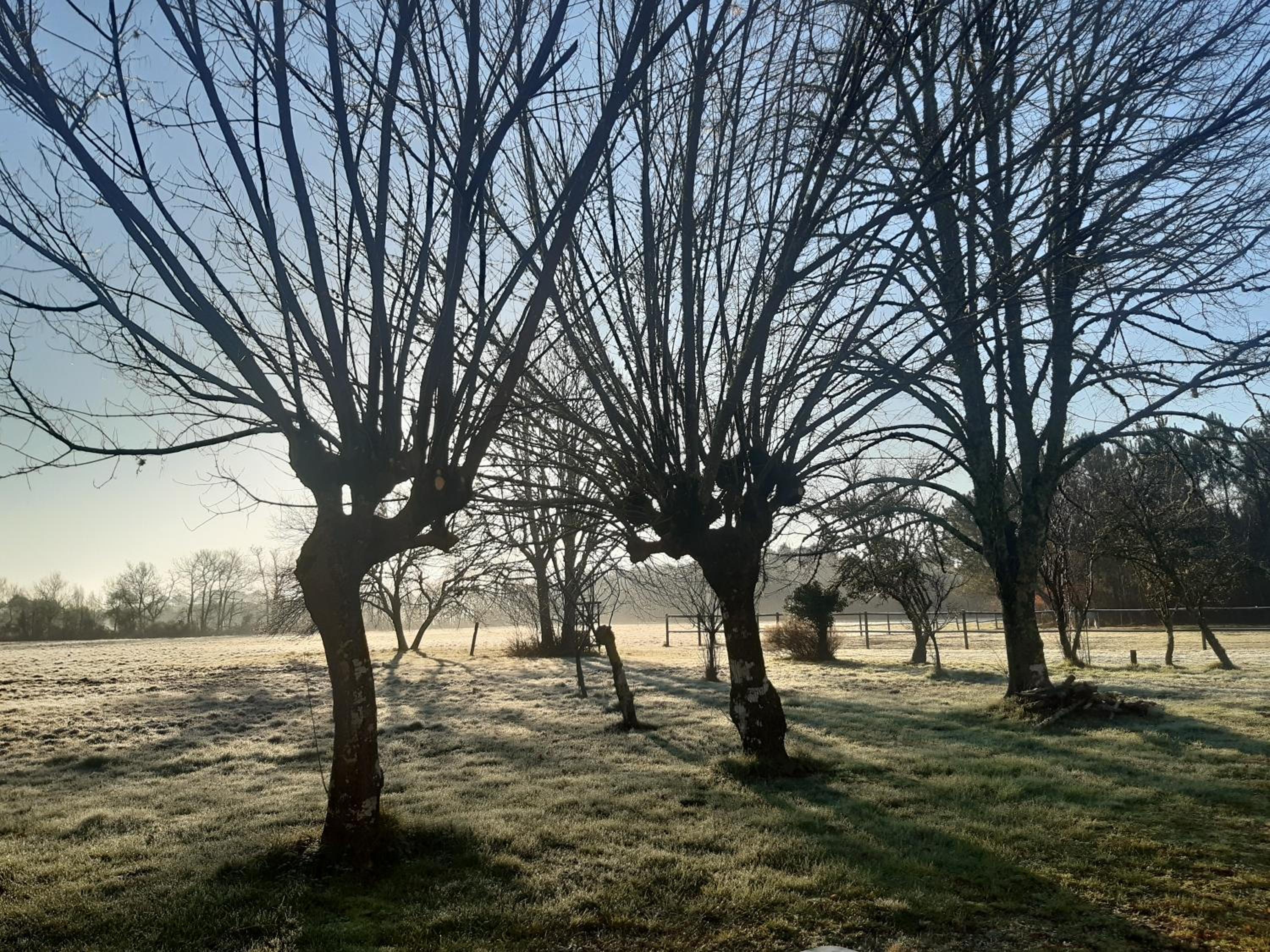 Domaine de l’Escuderia