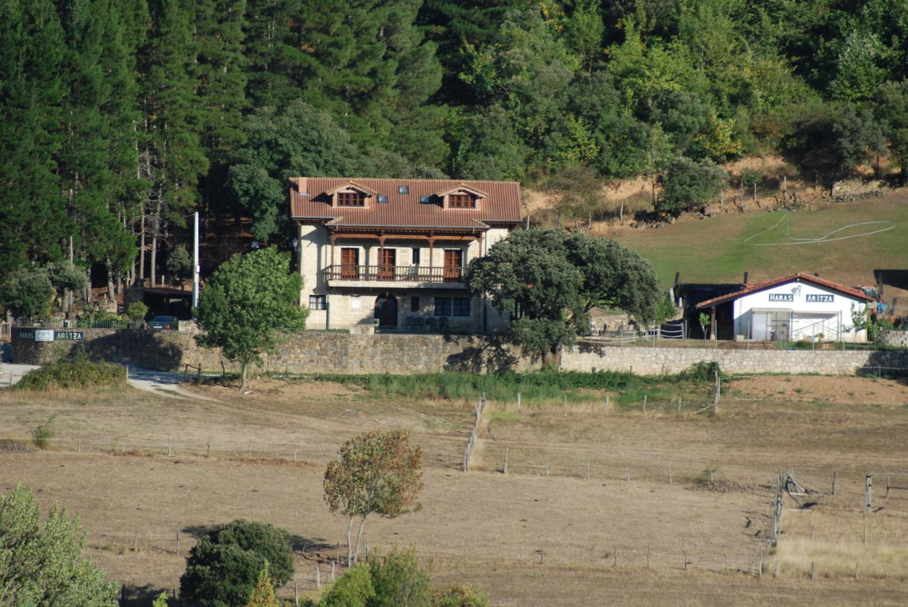 Haras Aritza
