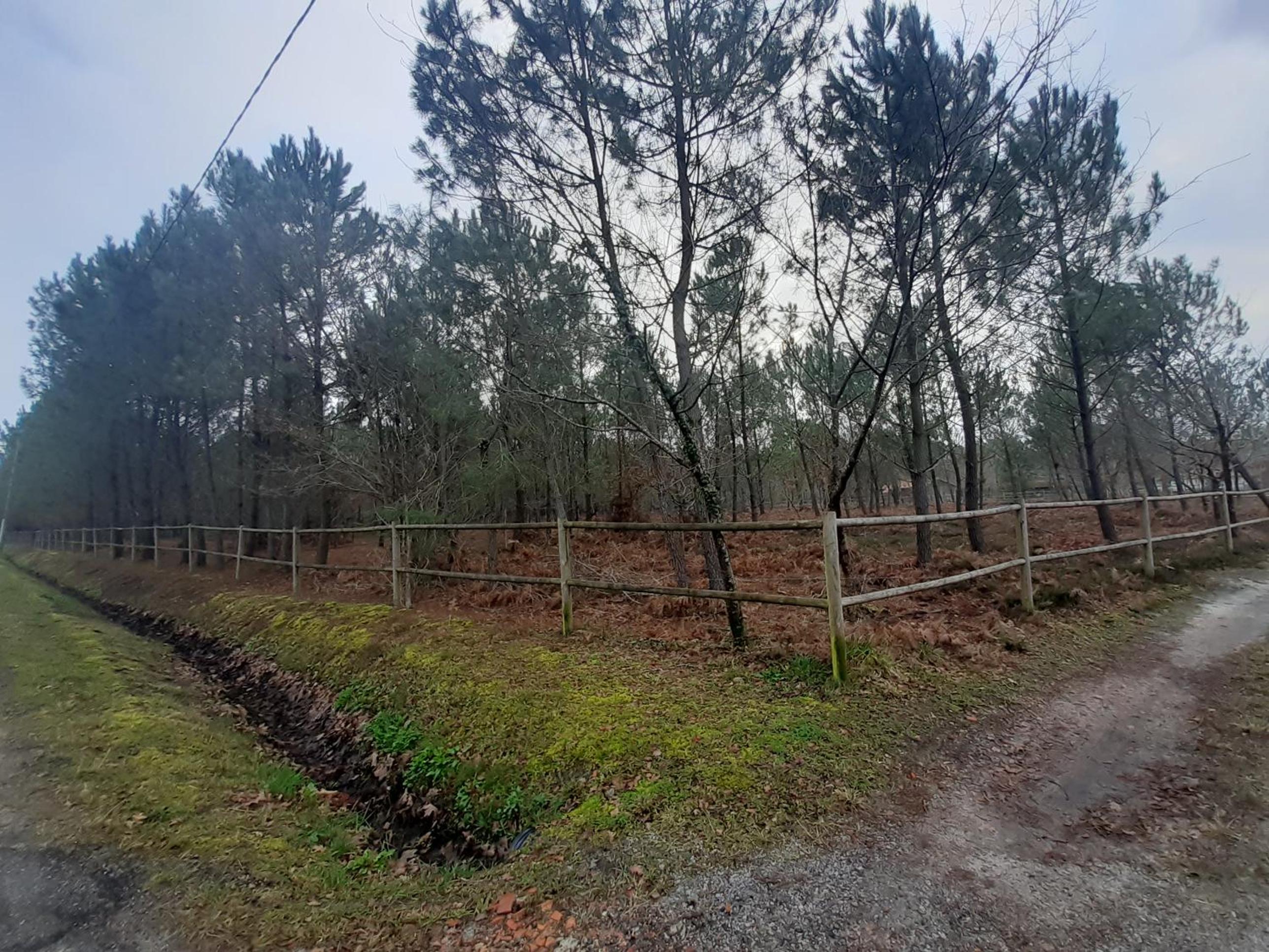 Domaine de l’Escuderia