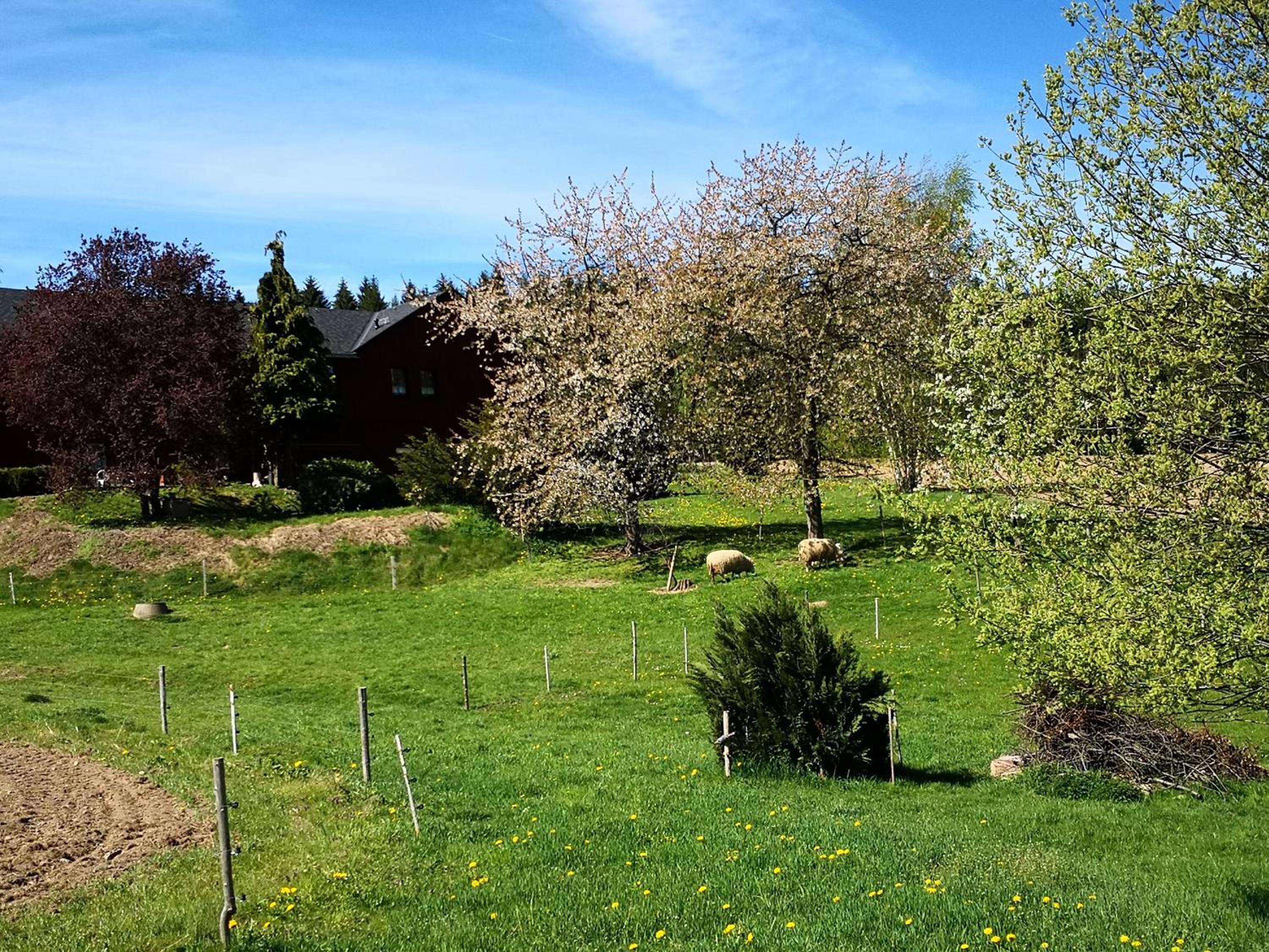 Pumphuts Scheune Ferienwohnungen Nr 1 - 4 beim Freizeitpark Plohn view 4