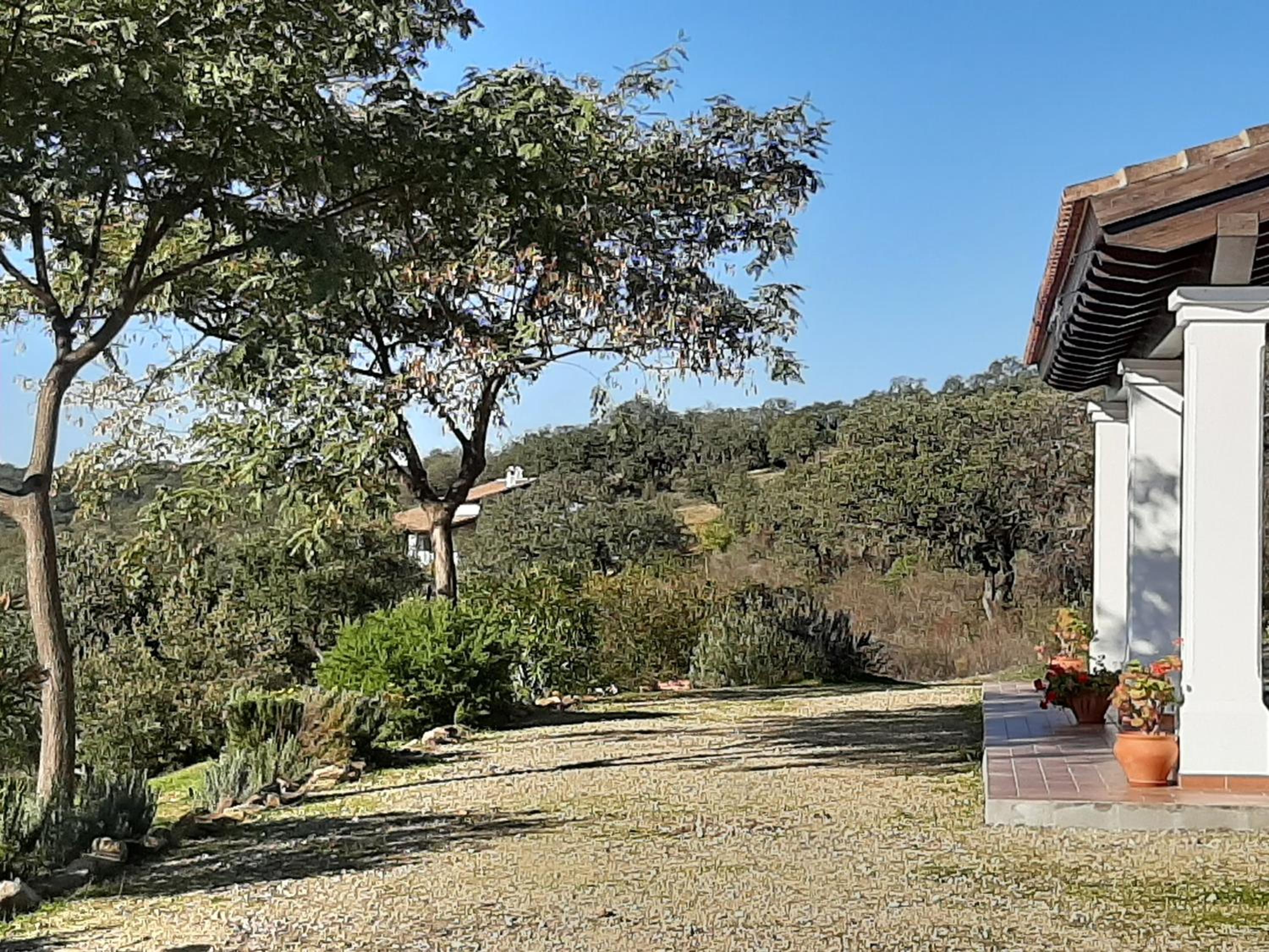 Casa Rural La Aulaga view 5