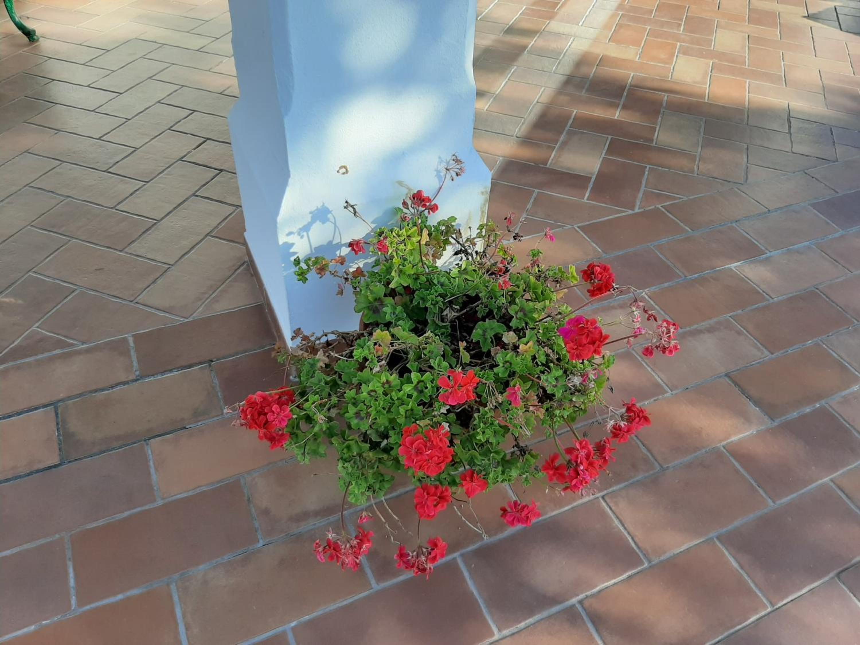Photo 44