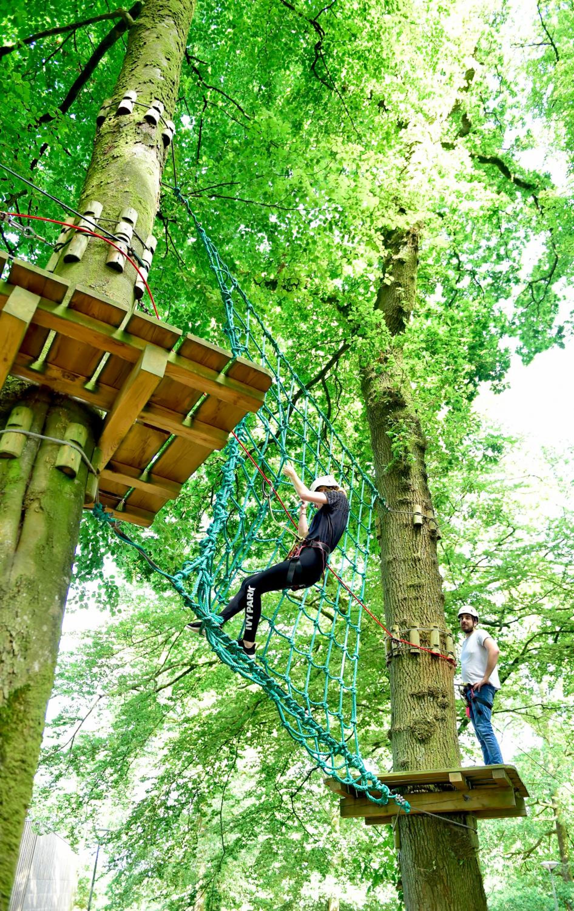 L'étape en forêt