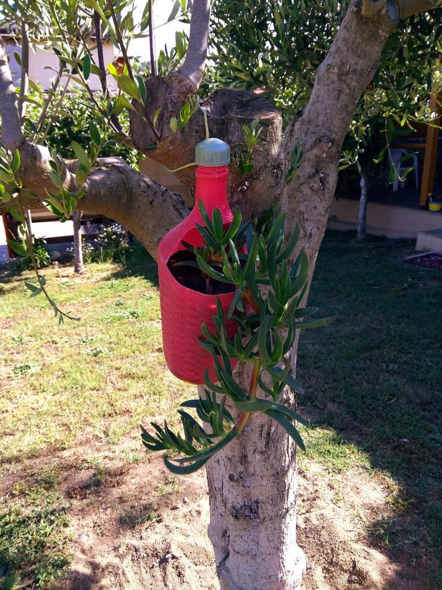 Farma Giannis view 2