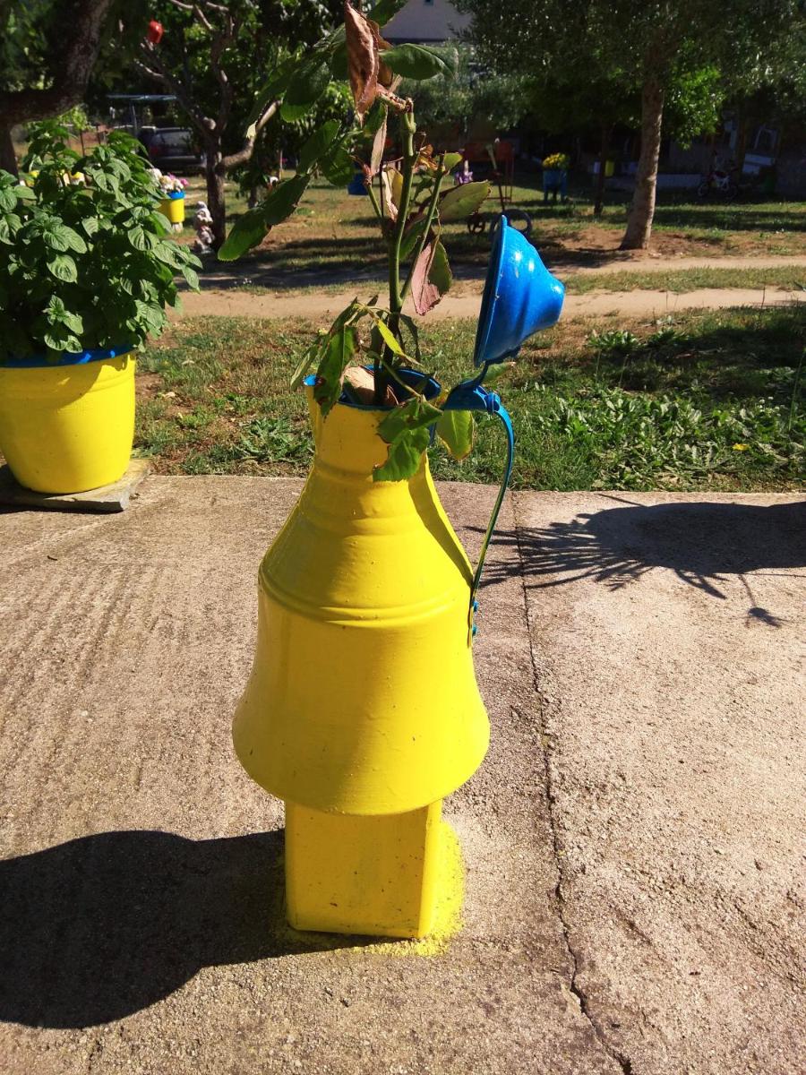Photo 19