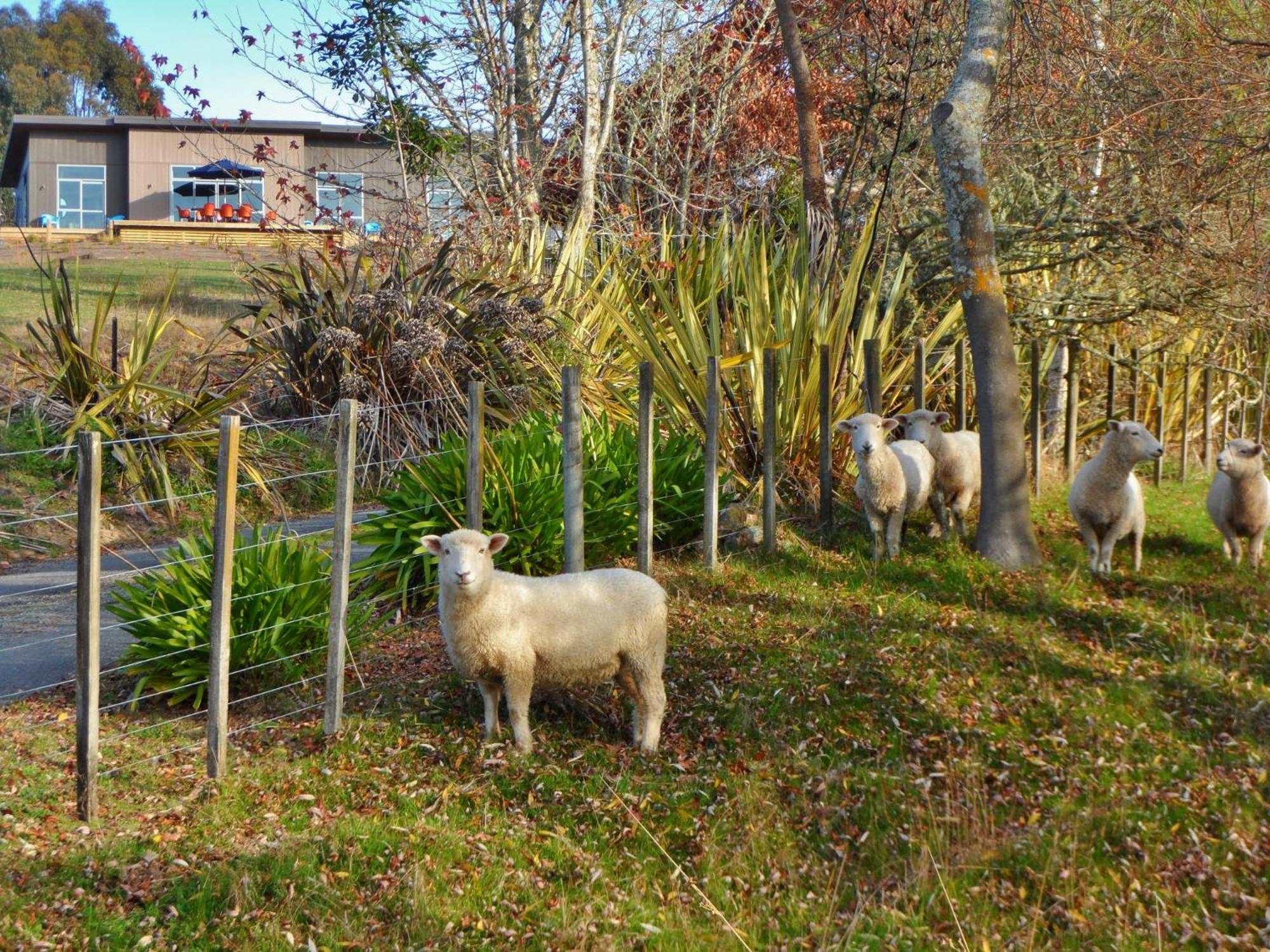 Photo 23