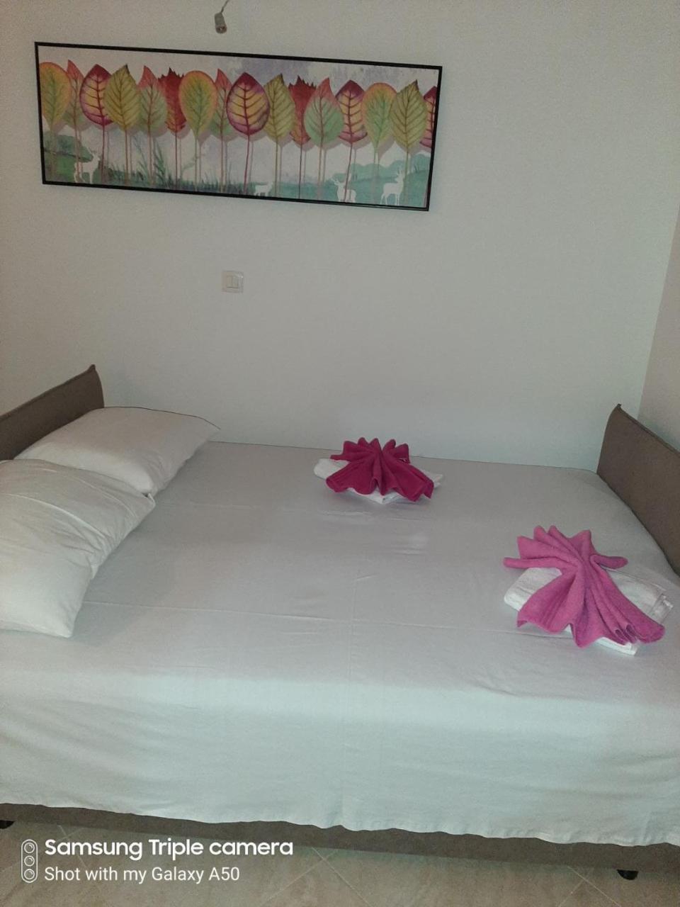Vila POGLED view 4