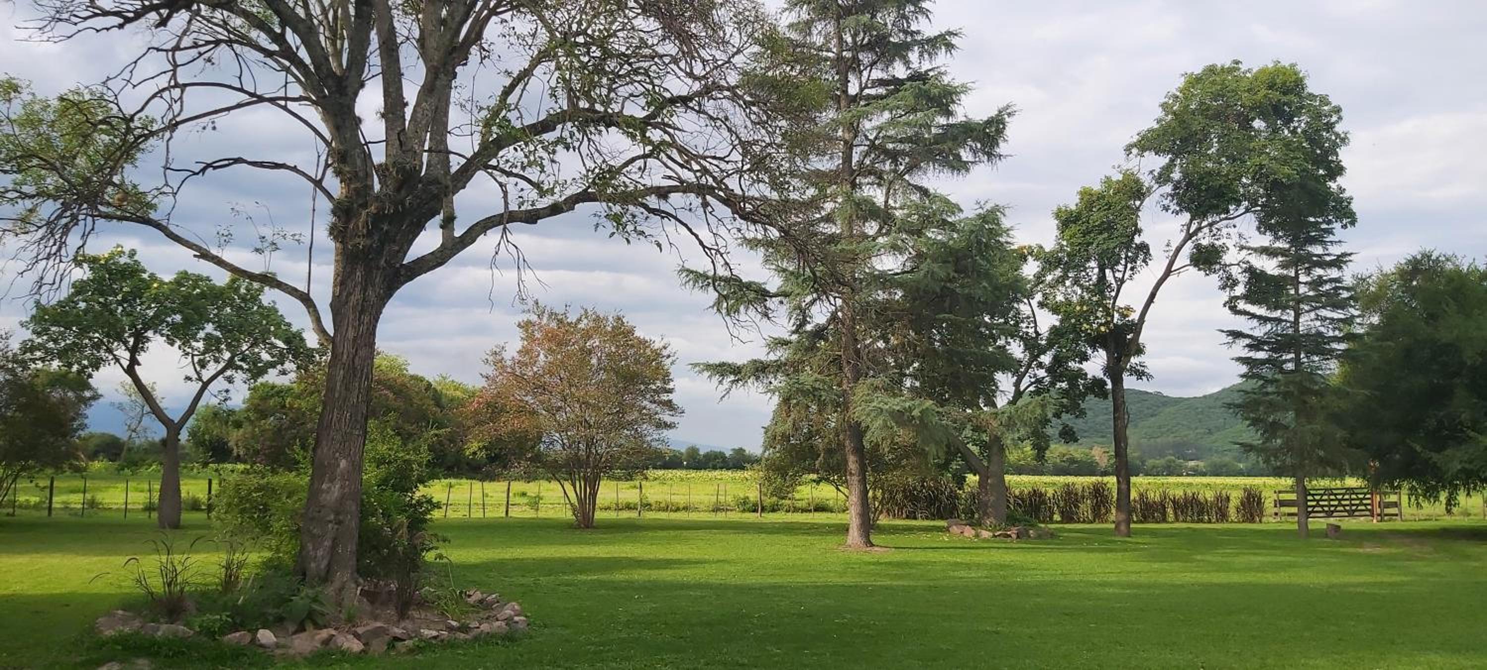 Finca La Secundina