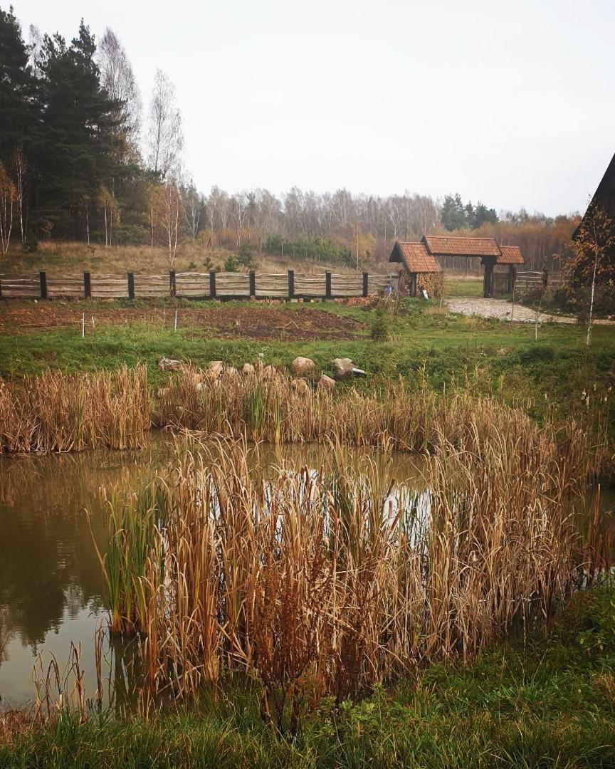 Photo 19
