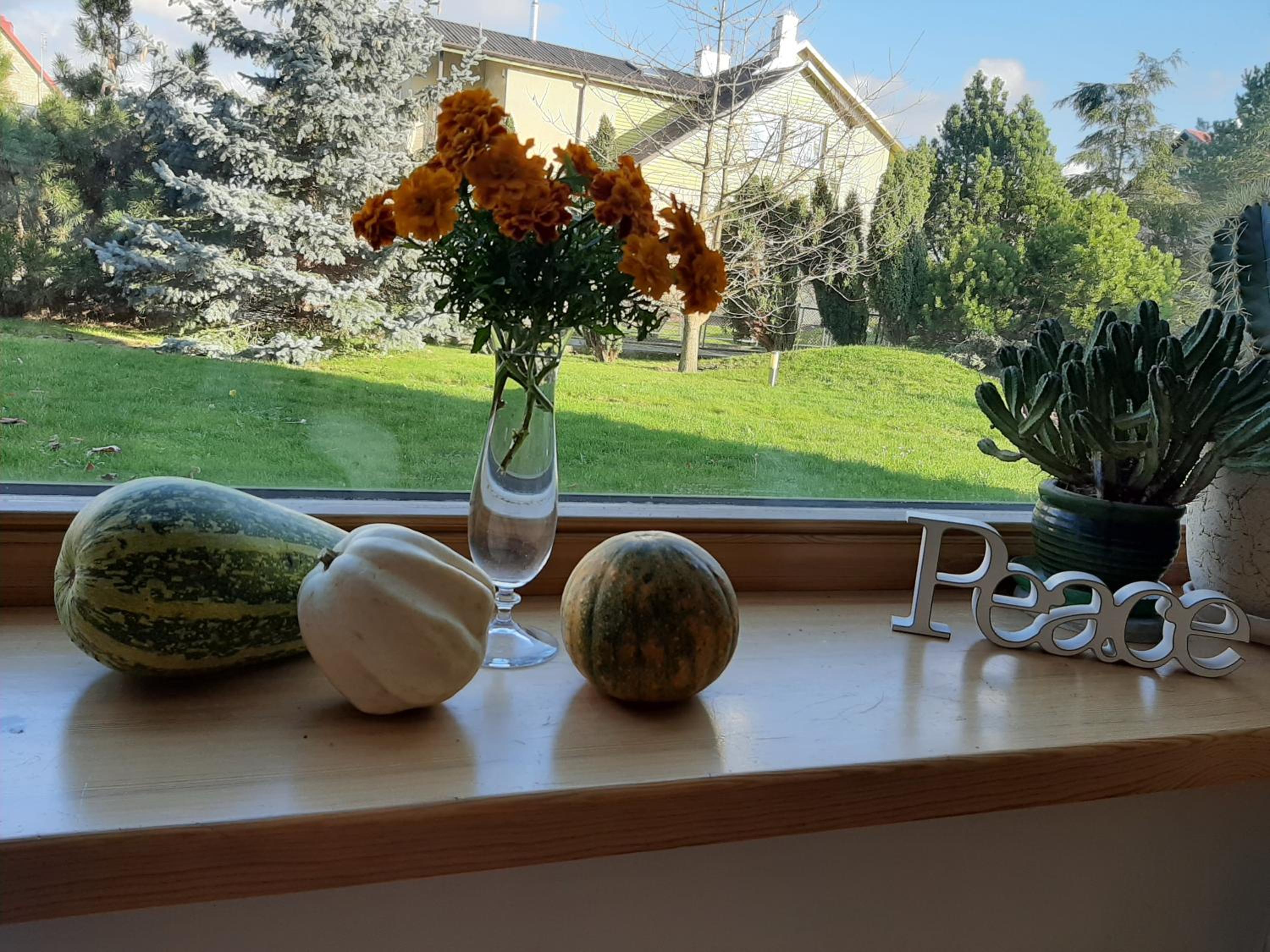 Apartamentai Luna